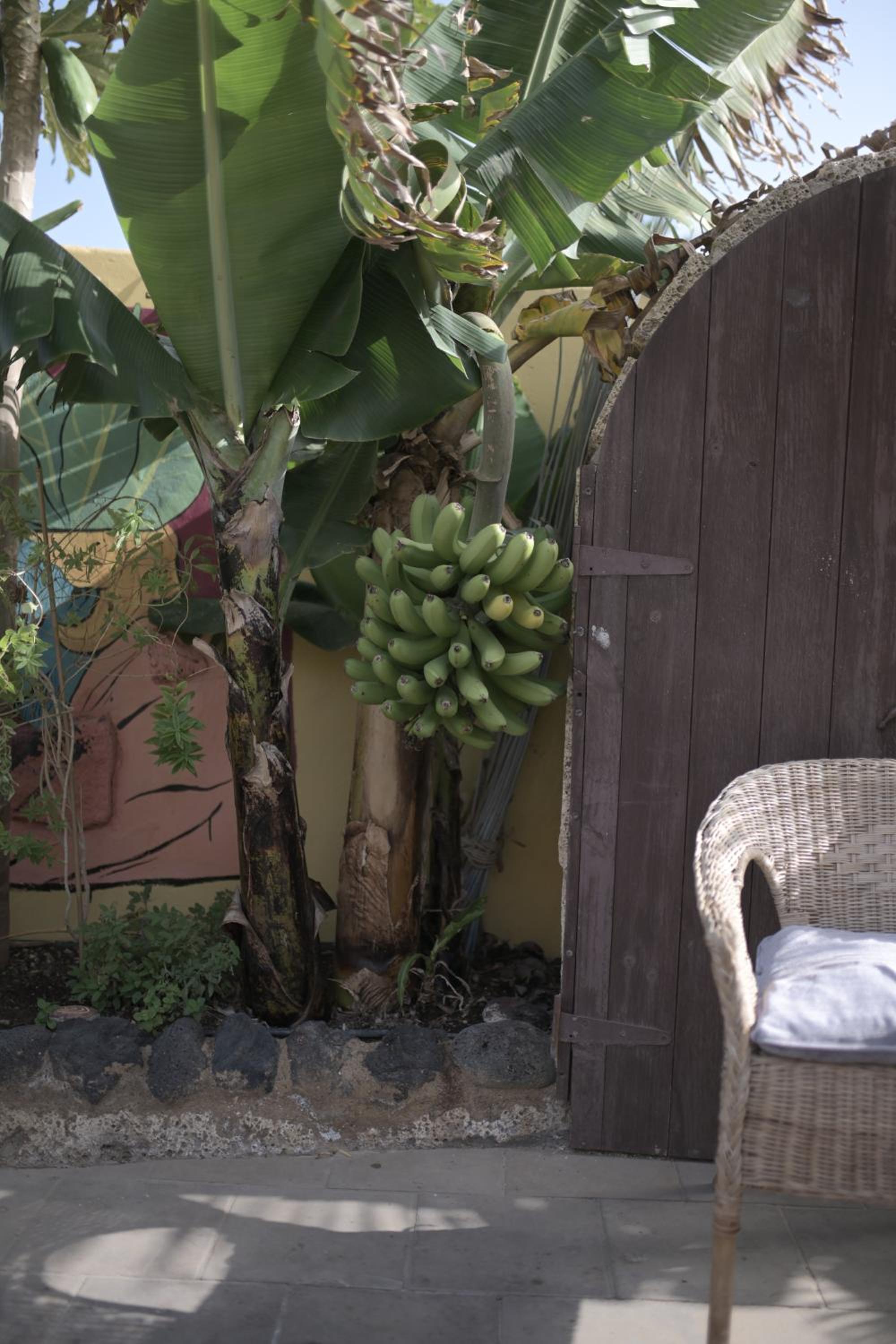 Los Amigos Nest Hostel