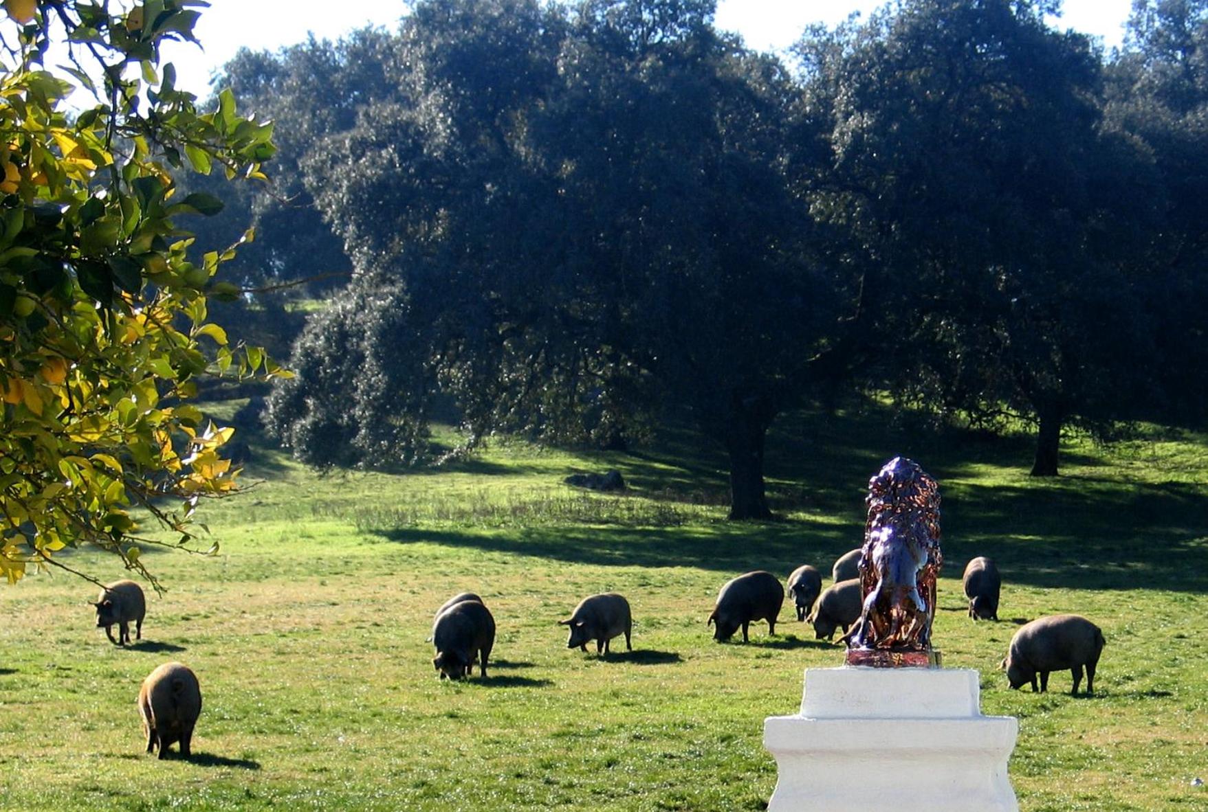 Cortijo Huerta Galindo