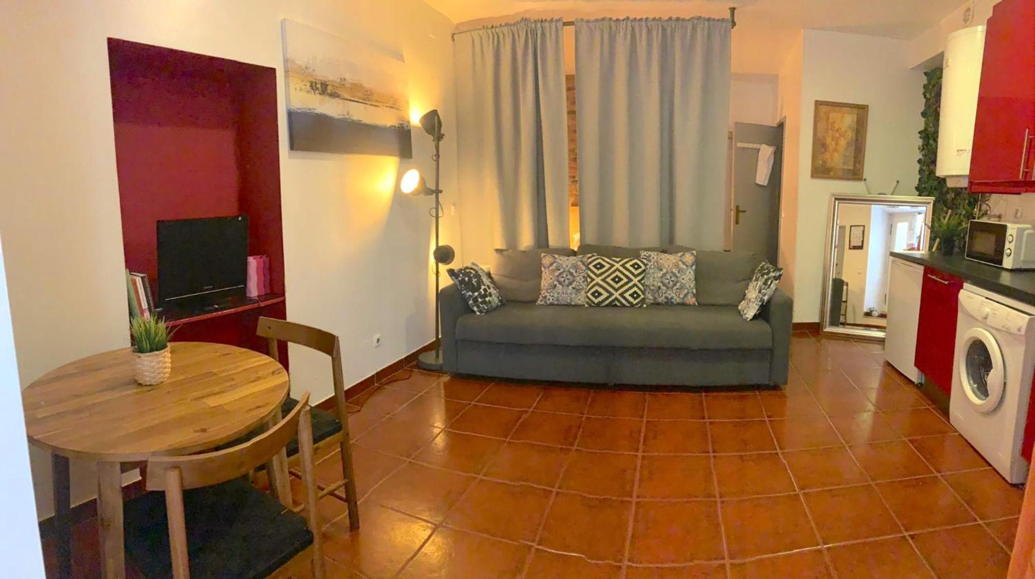 Studio Apartment - Tv da Madalena 05 view 4