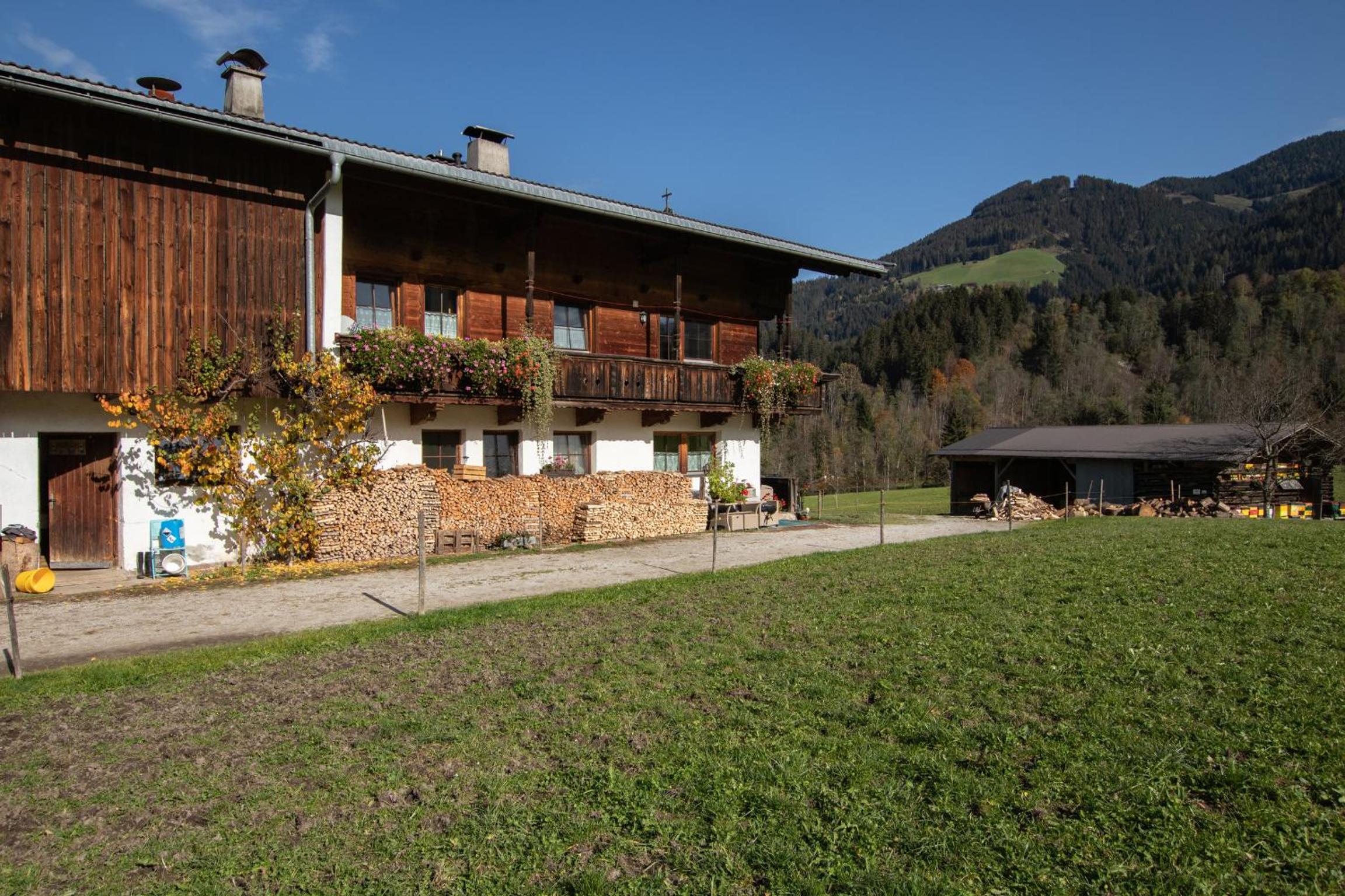 Ferienwohnung zum Mühltal WILD025 view 2