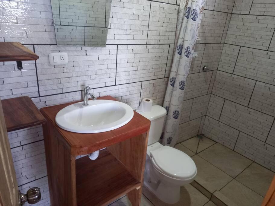 Siary Aparment 2