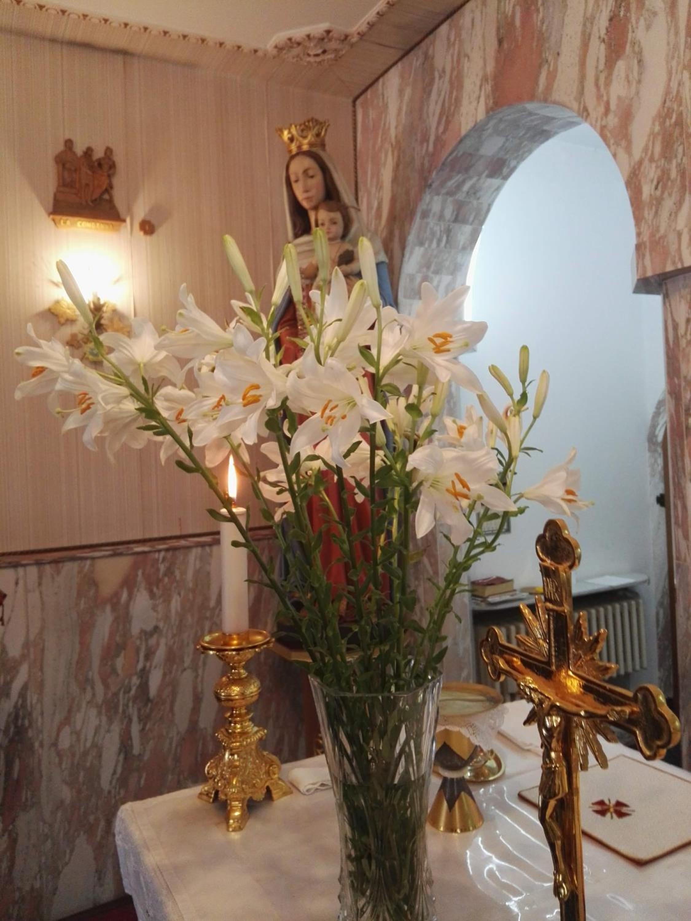 Photo 82