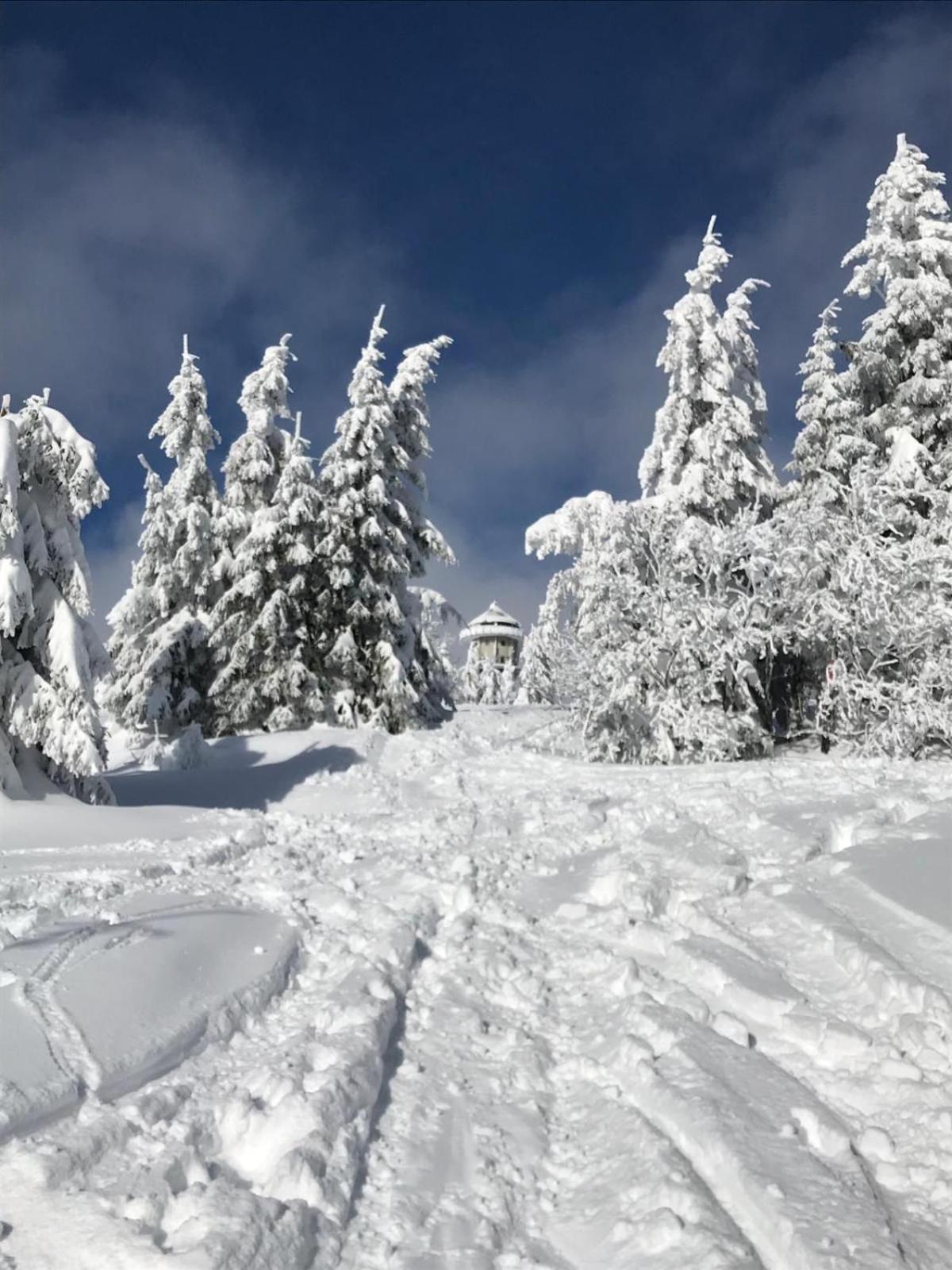 Ferienwohnung Feldberg Schwarzwald