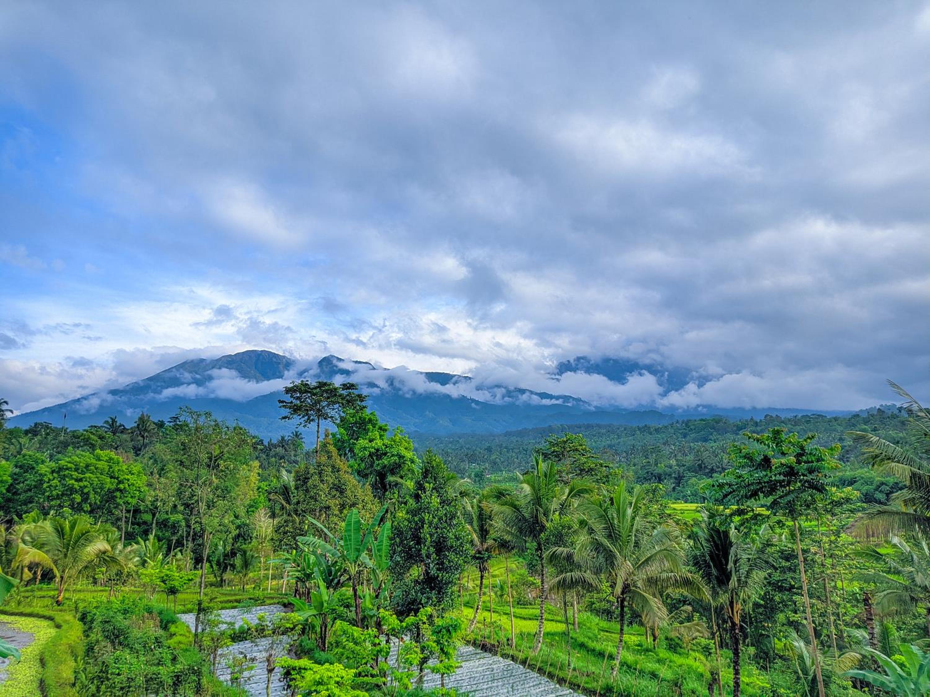 Tetebatu Mountain View Homestay