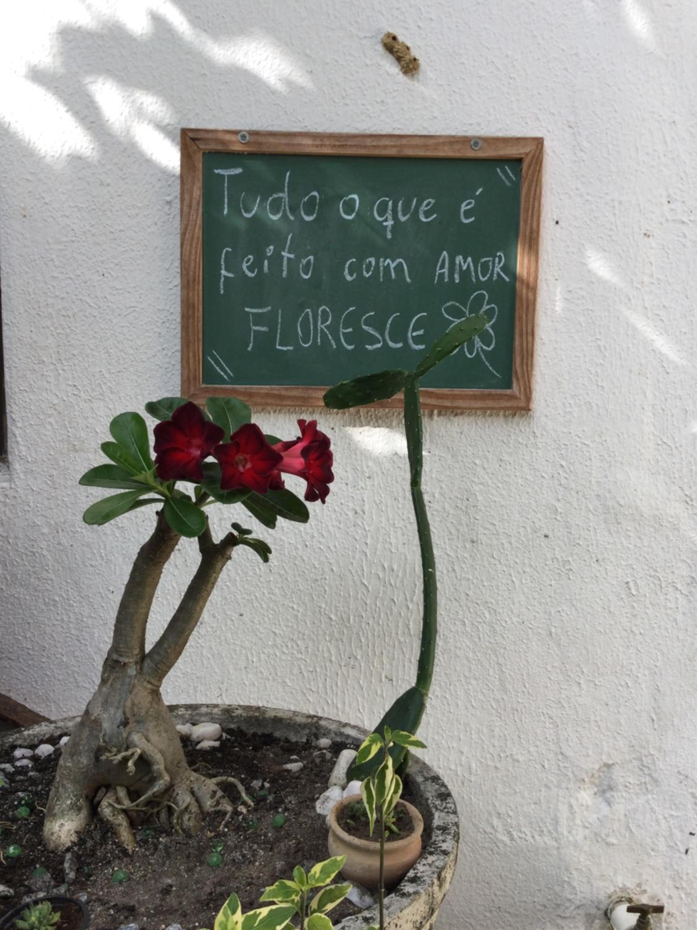 Photo 34