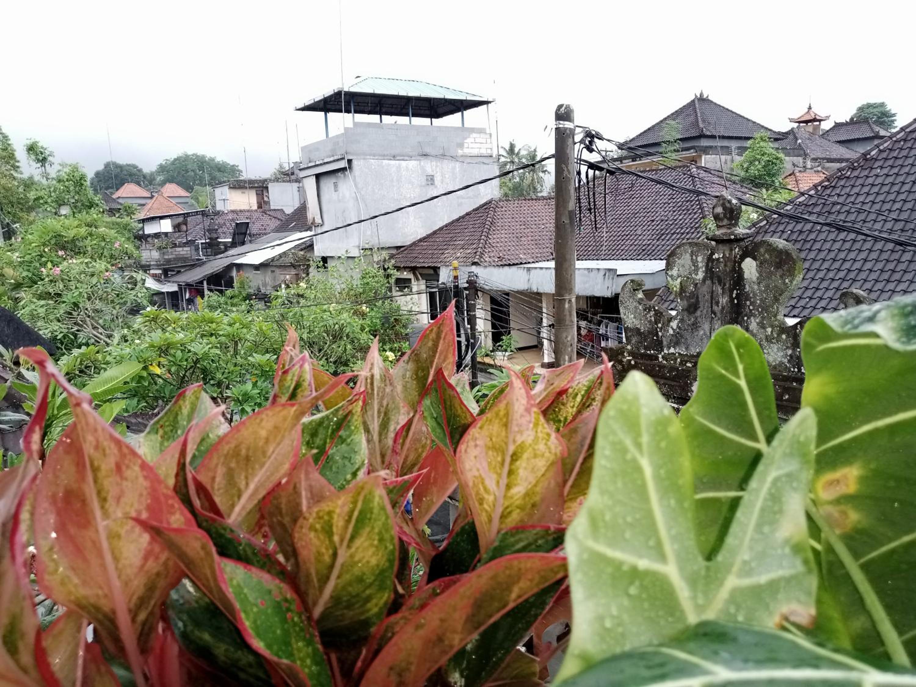 WAH TEJA HOMESTAY view 5