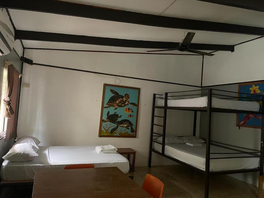 Be My Guest Cabinas