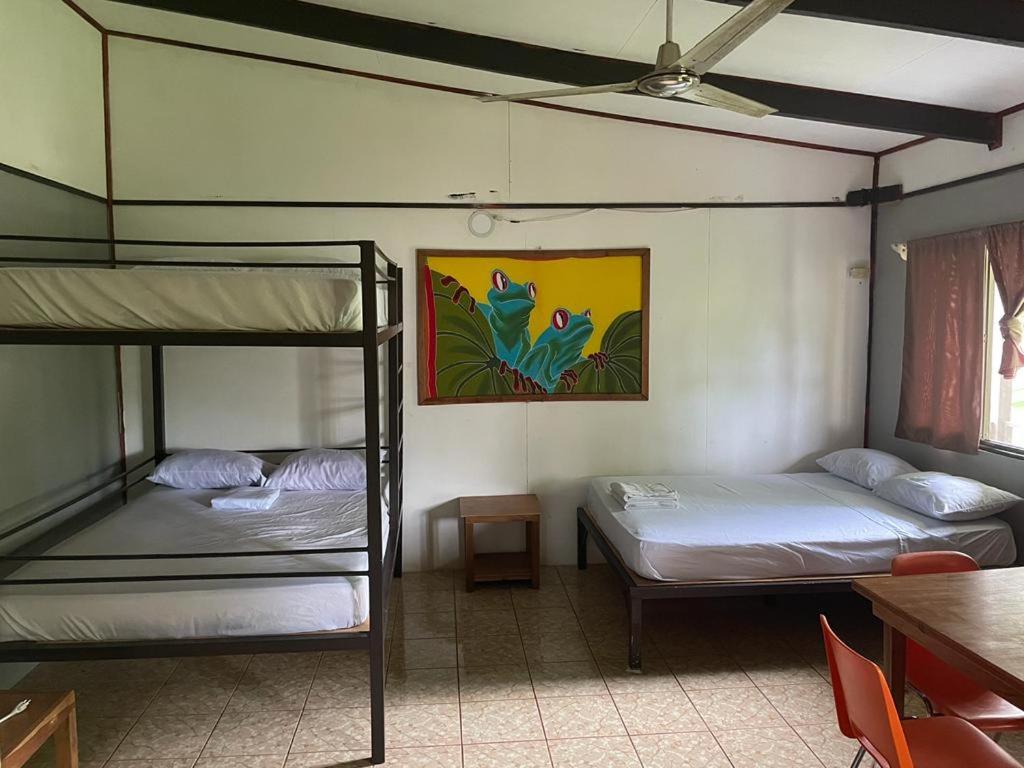 Be My Guest Cabinas