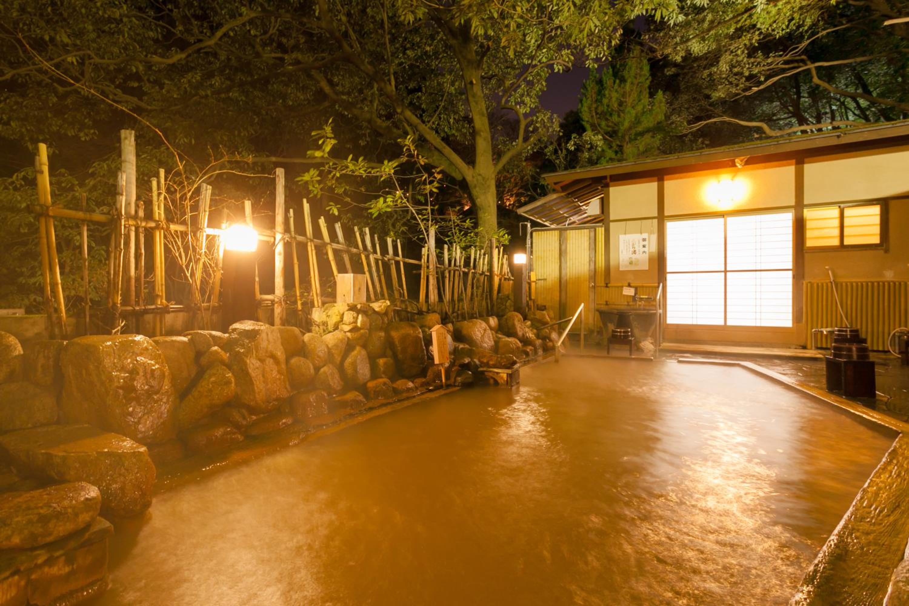 Arima Onsen Gekkoen Yugetsusanso view 4