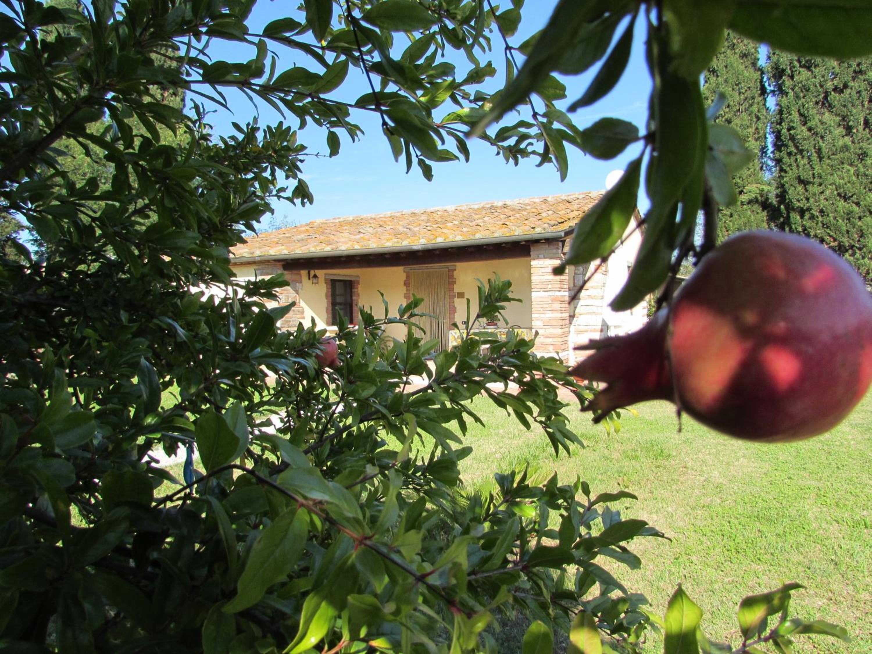 Agriturismo Pretenzano