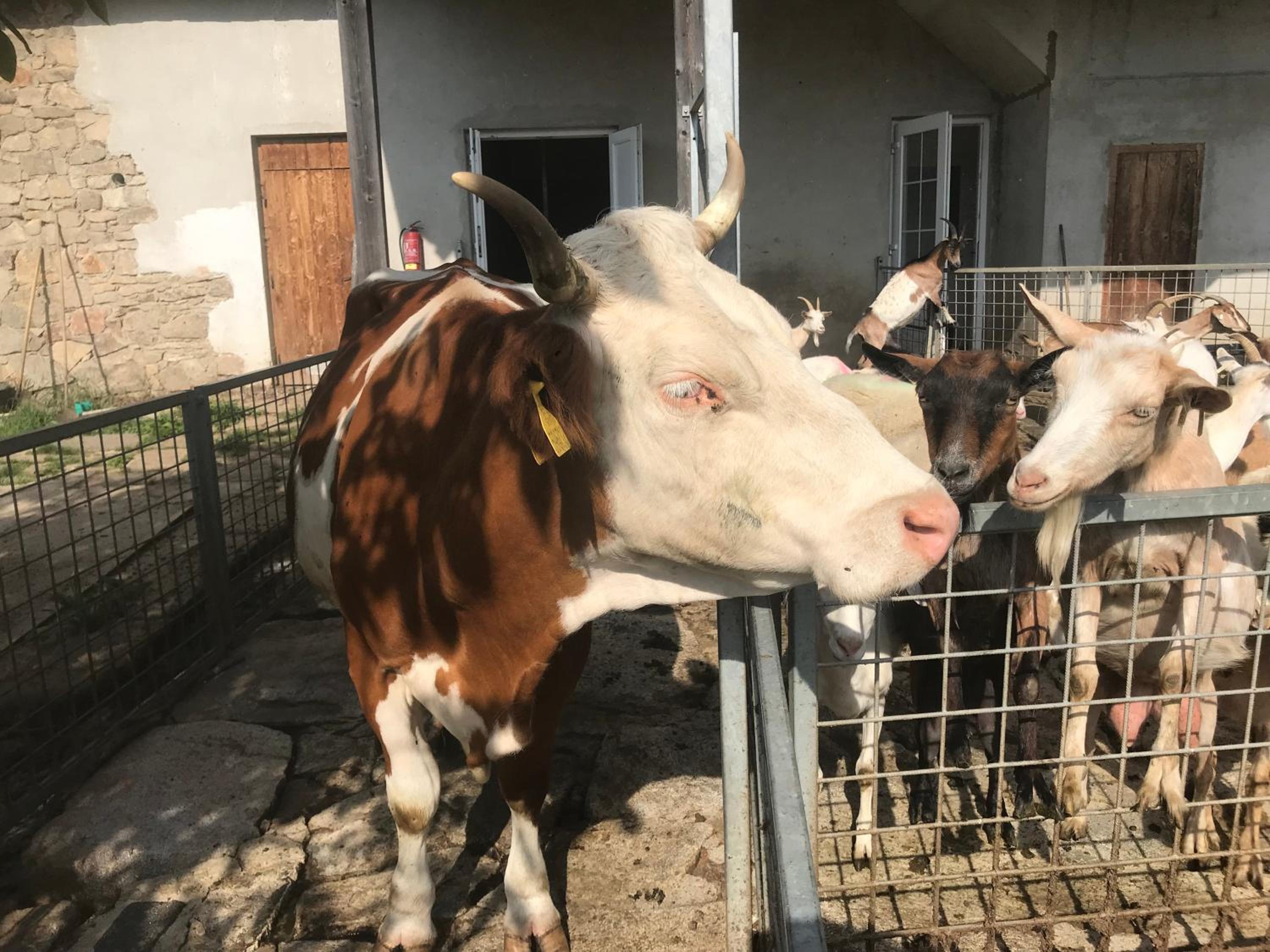 Pension Biofarma Slunečná