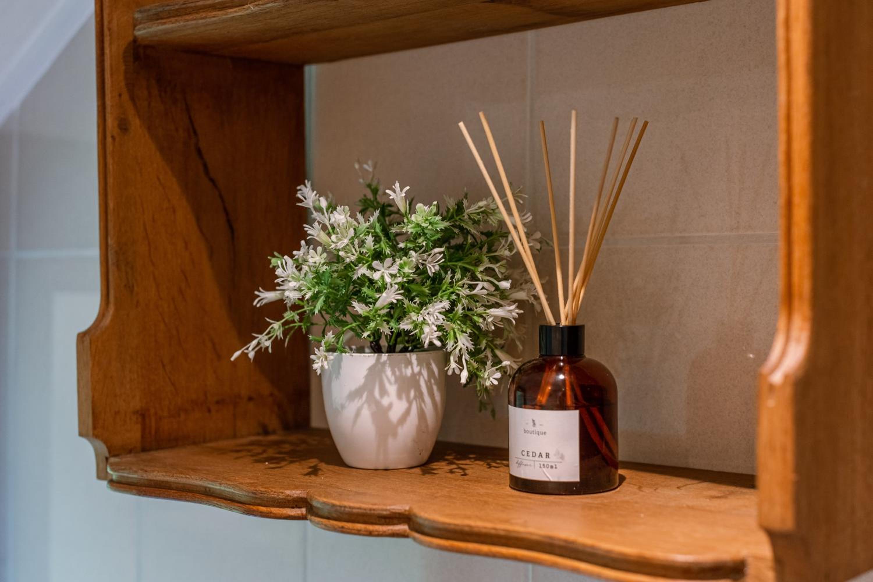 La Petite Ourse Durbuy - natuur chalet in het bos