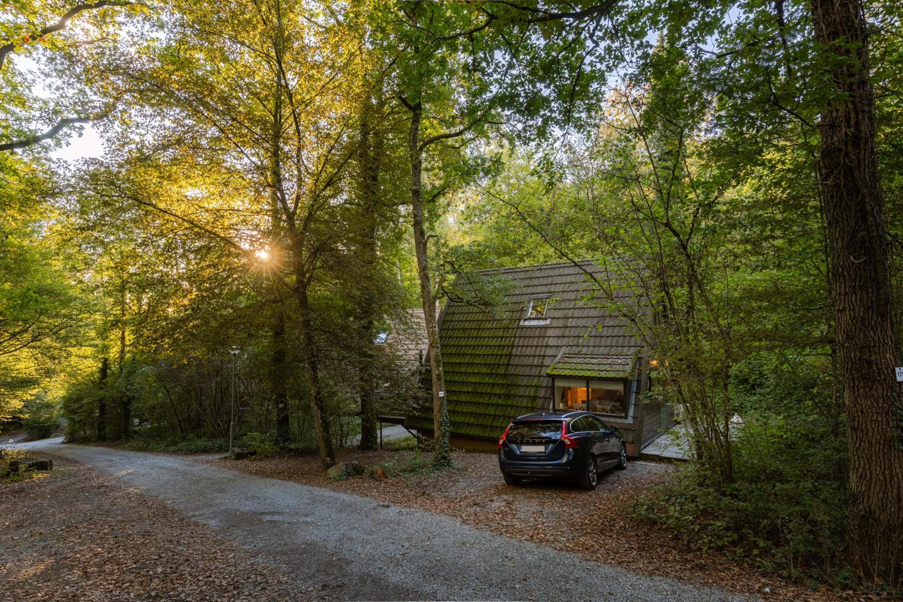La Petite Ourse Durbuy - natuur chalet in het bos