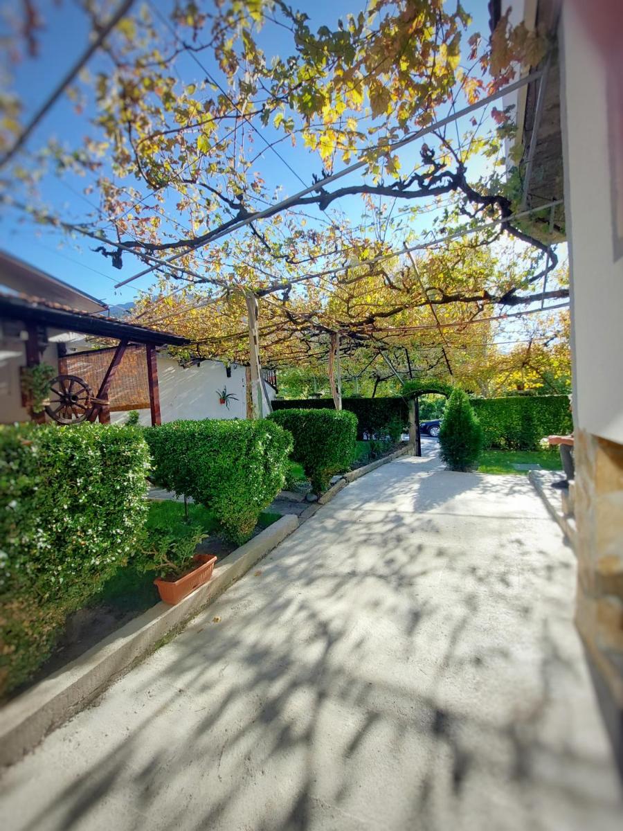 Guest Rooms Vŭrbite