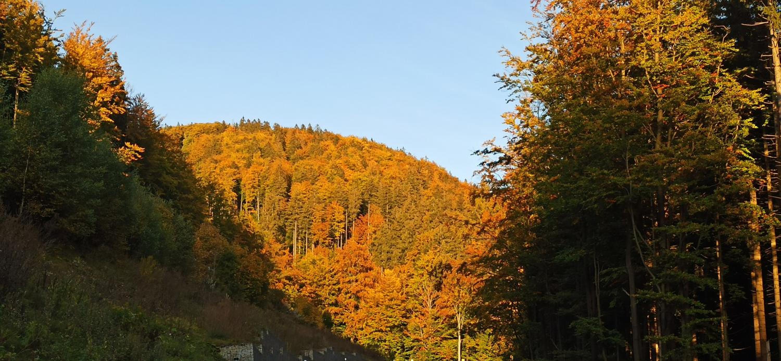 Chalupa U Jezu Bělá view 5
