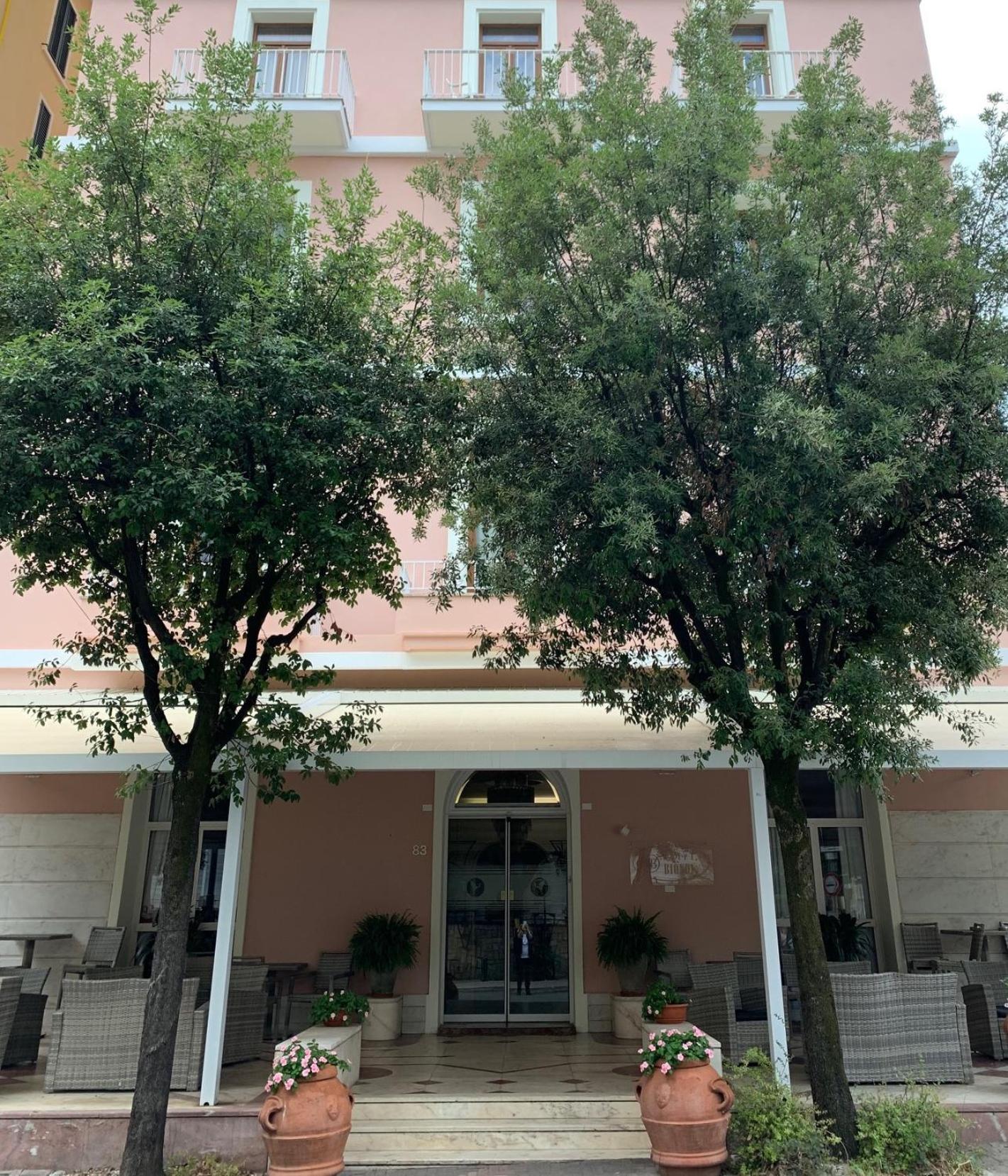 Hotel Biondi, photo 8