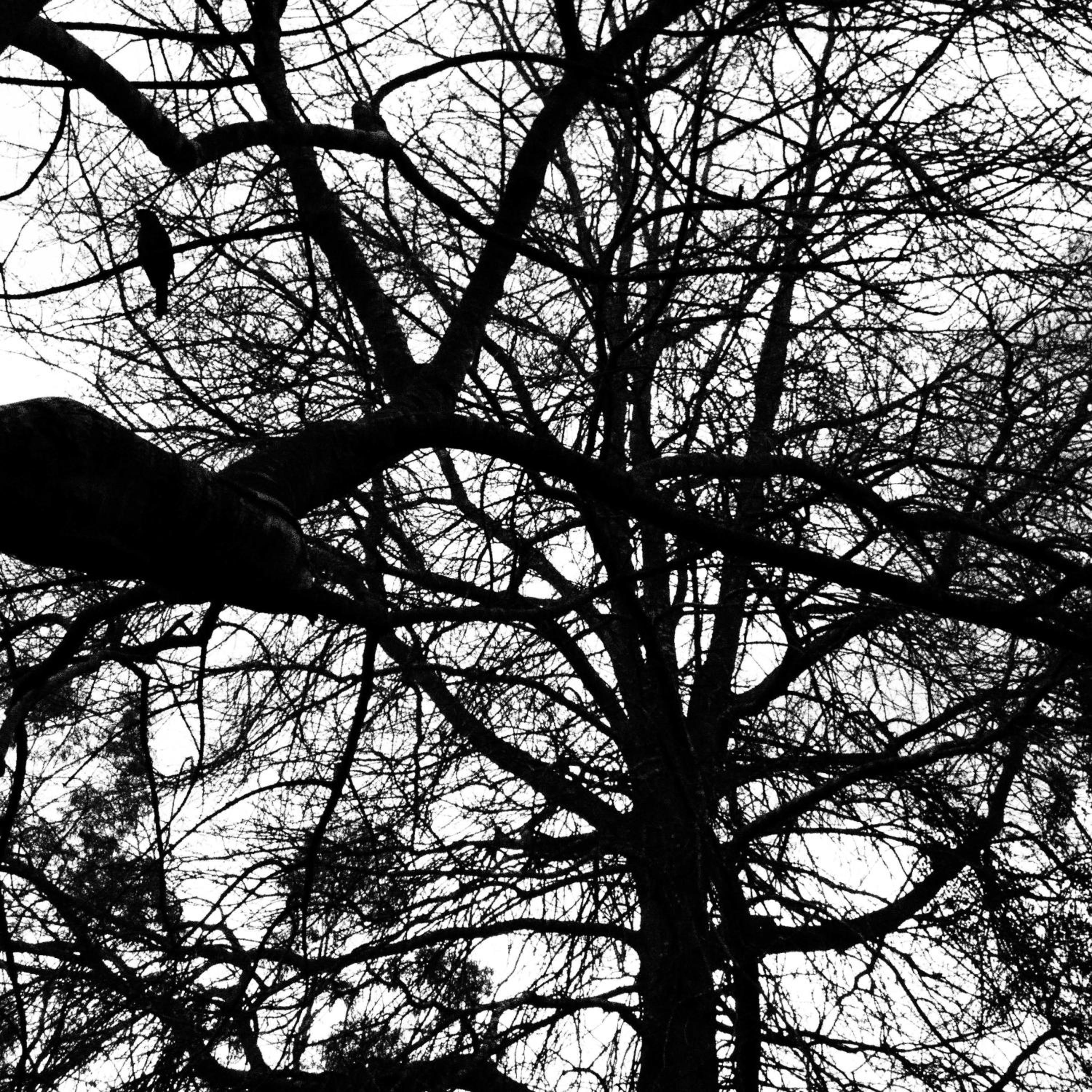 Bowral Road Art Gallery Bed and Breakfast