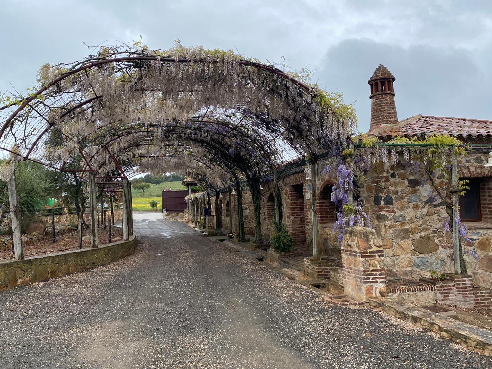 Casas Rurales Monasterio de Rocamador