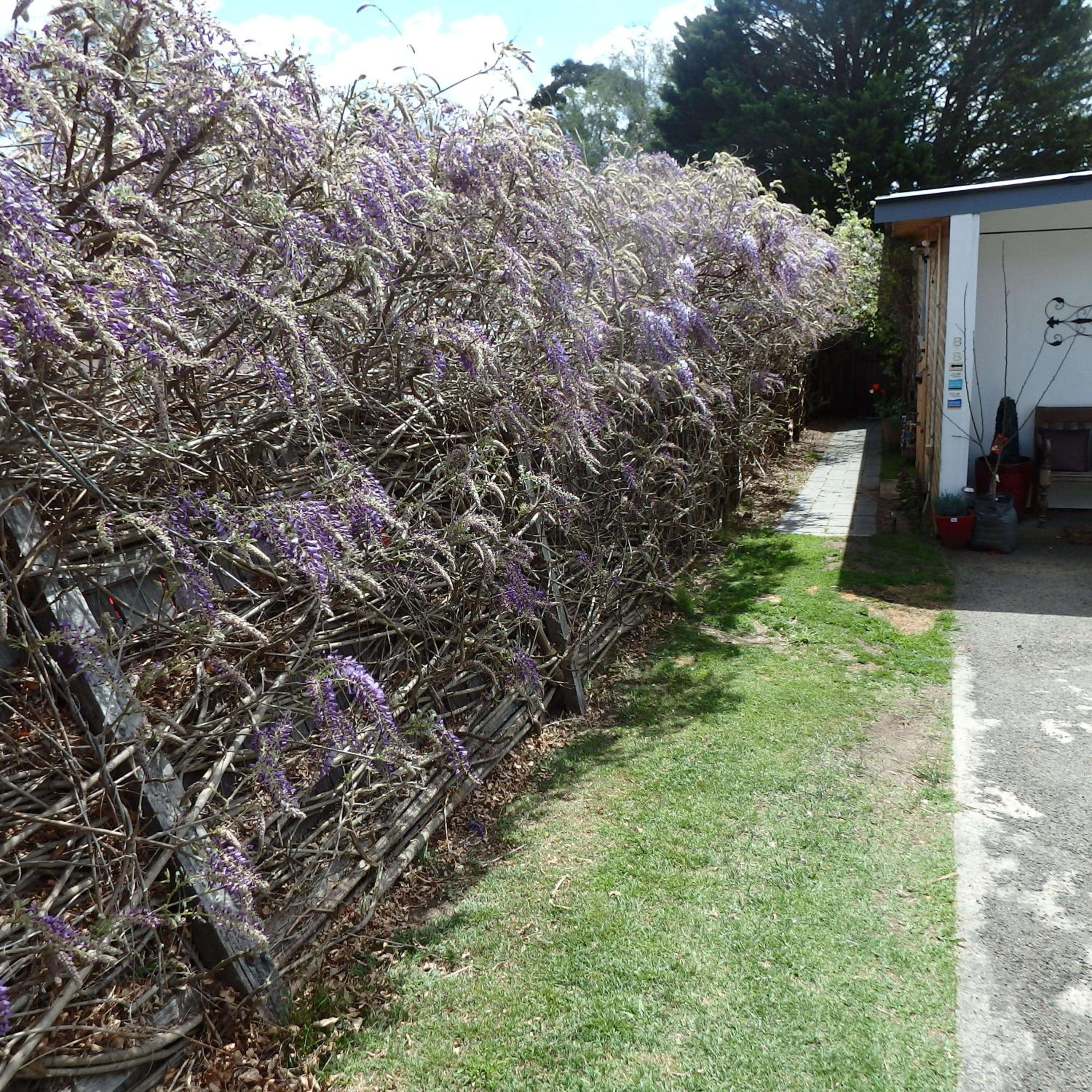Bowral Road Art Gallery Bed and Breakfast