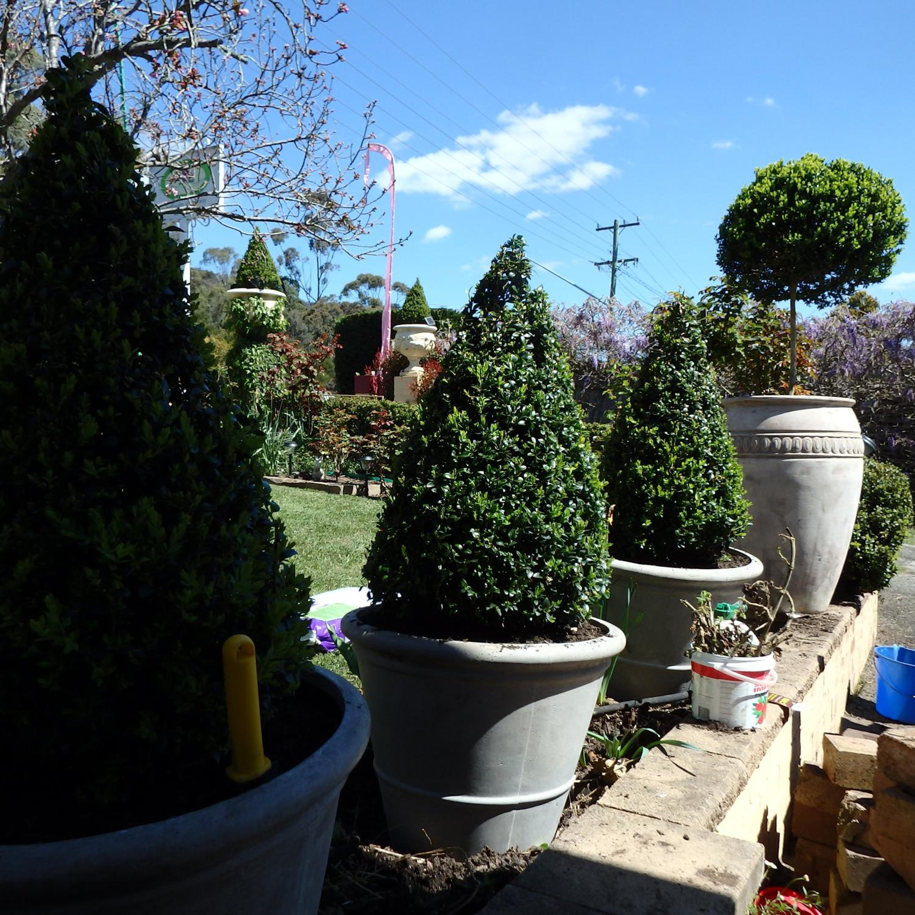 Bowral Road Art Gallery Bed and Breakfast