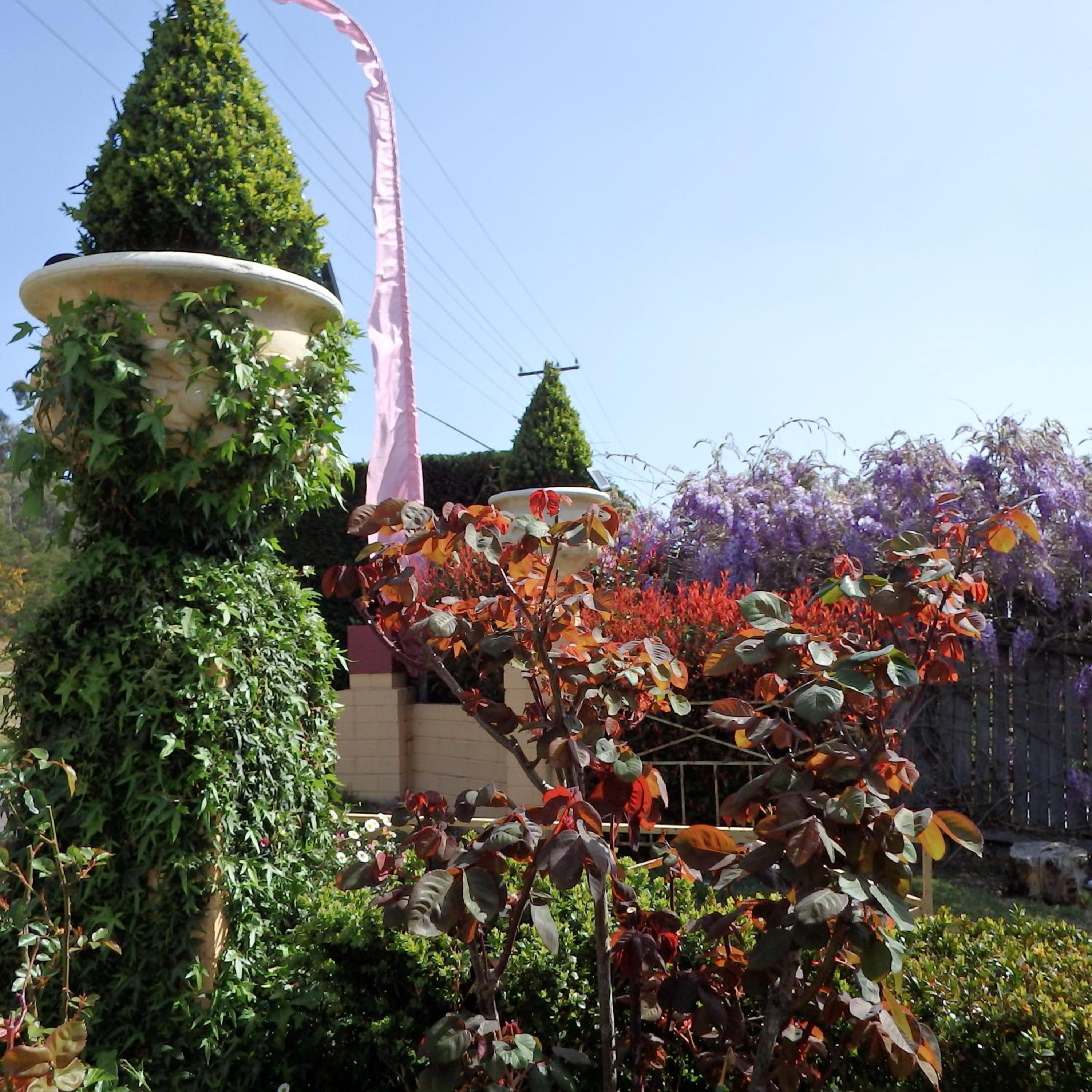 Bowral Road Art Gallery Bed and Breakfast