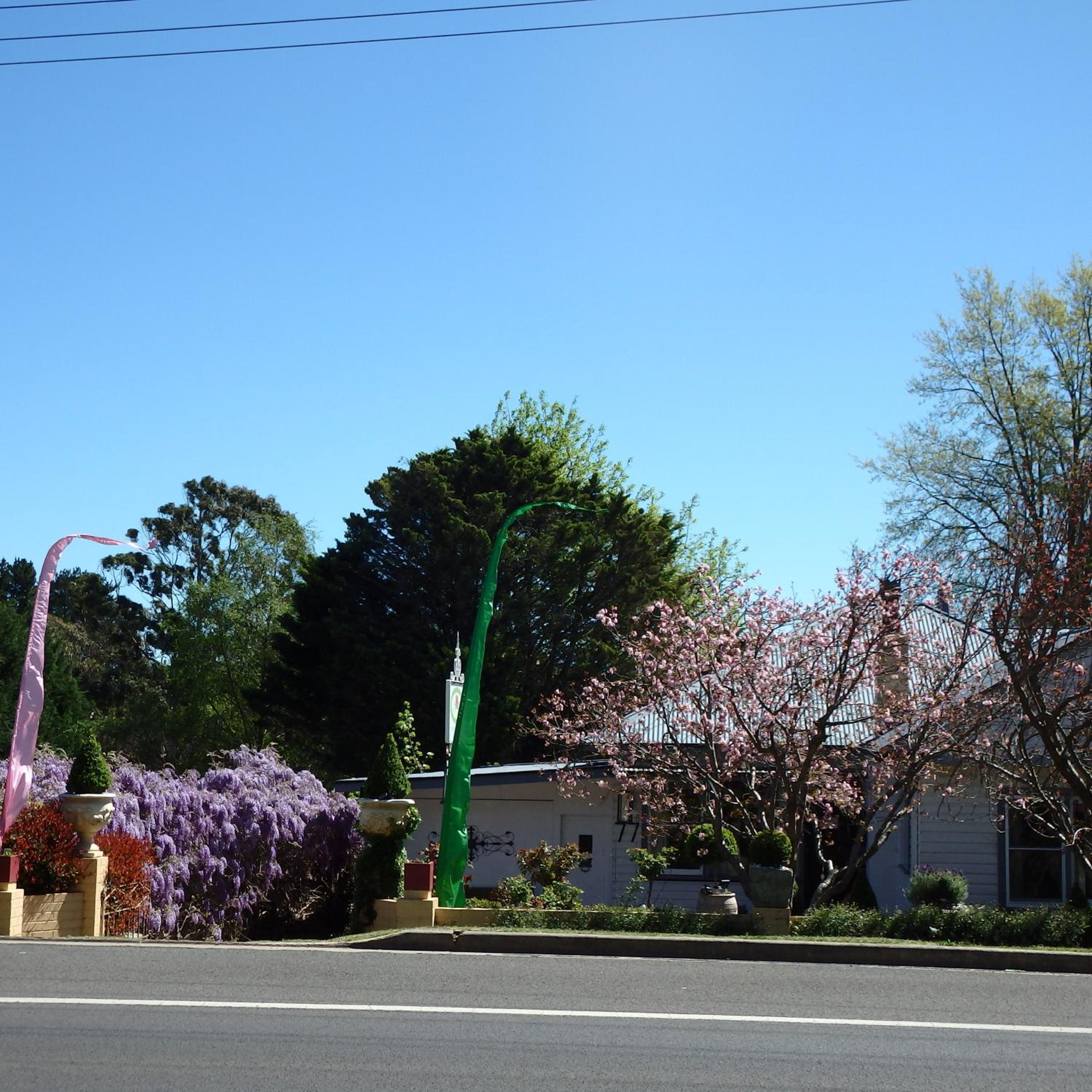 Bowral Road Art Gallery Bed and Breakfast