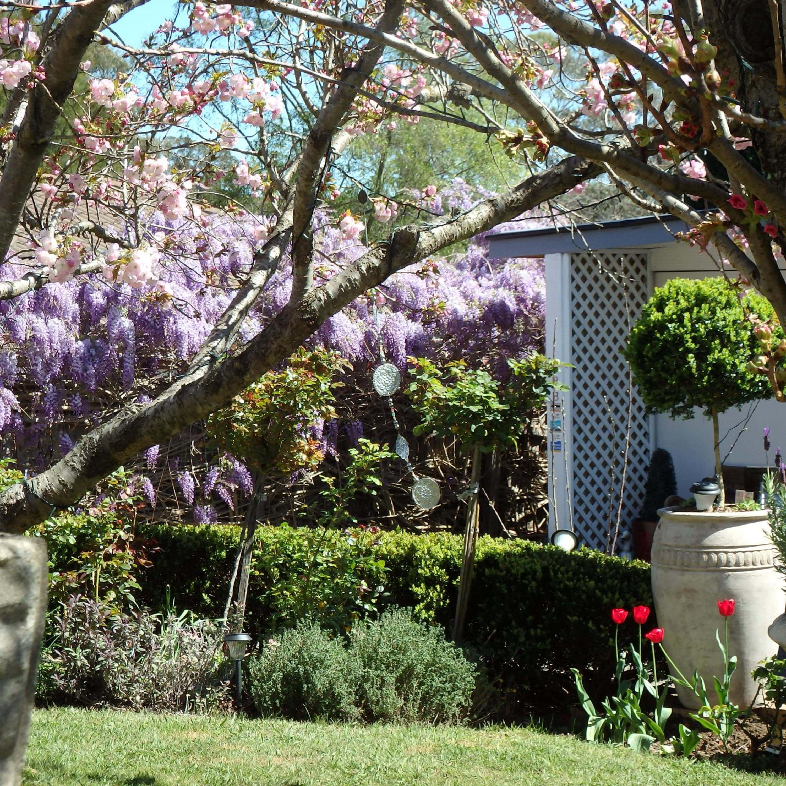 Bowral Road Art Gallery Bed and Breakfast