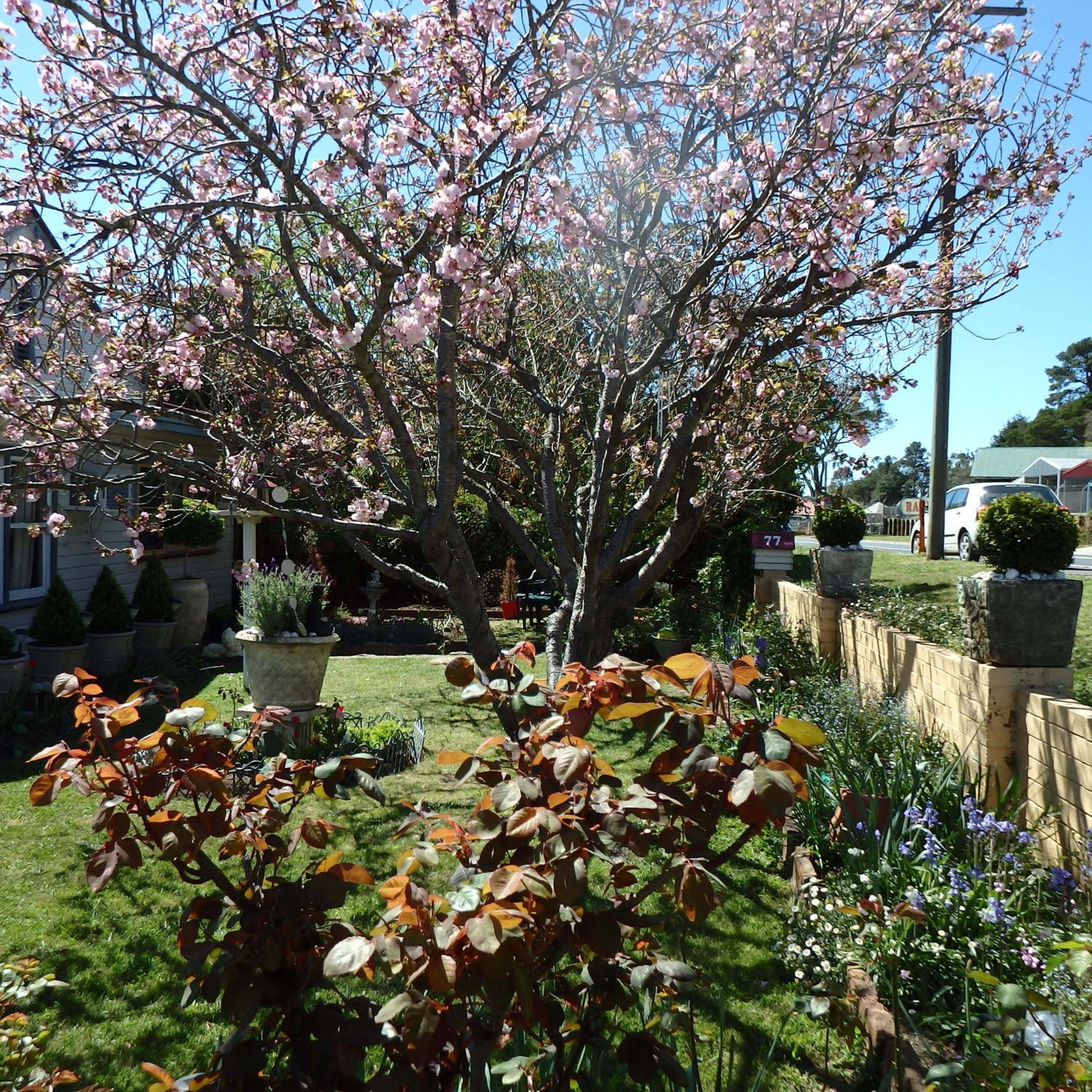 Bowral Road Art Gallery Bed and Breakfast
