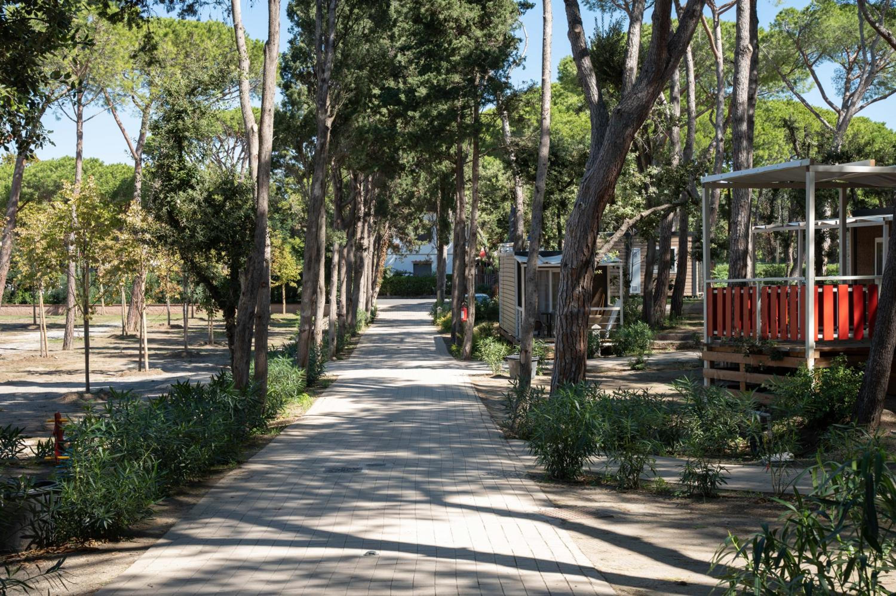 Camping Il Capannino Glamping Village