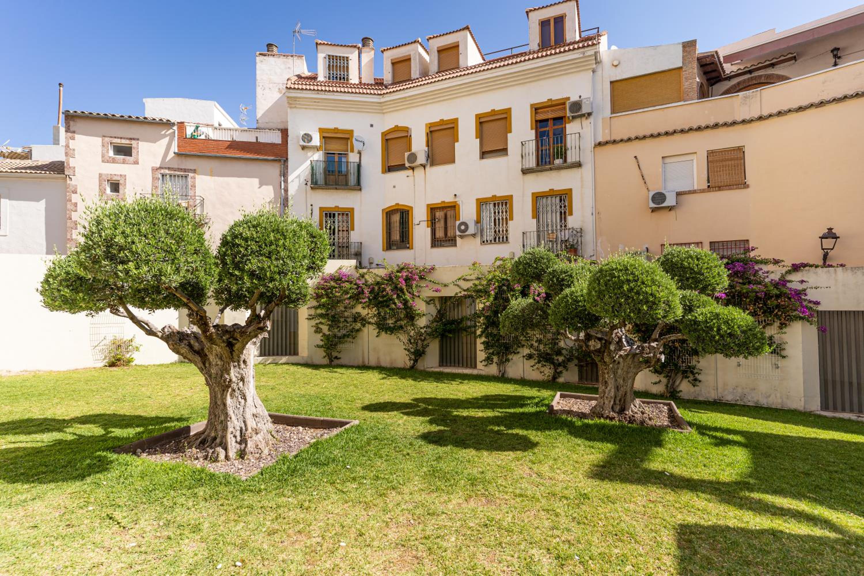 Photo 66