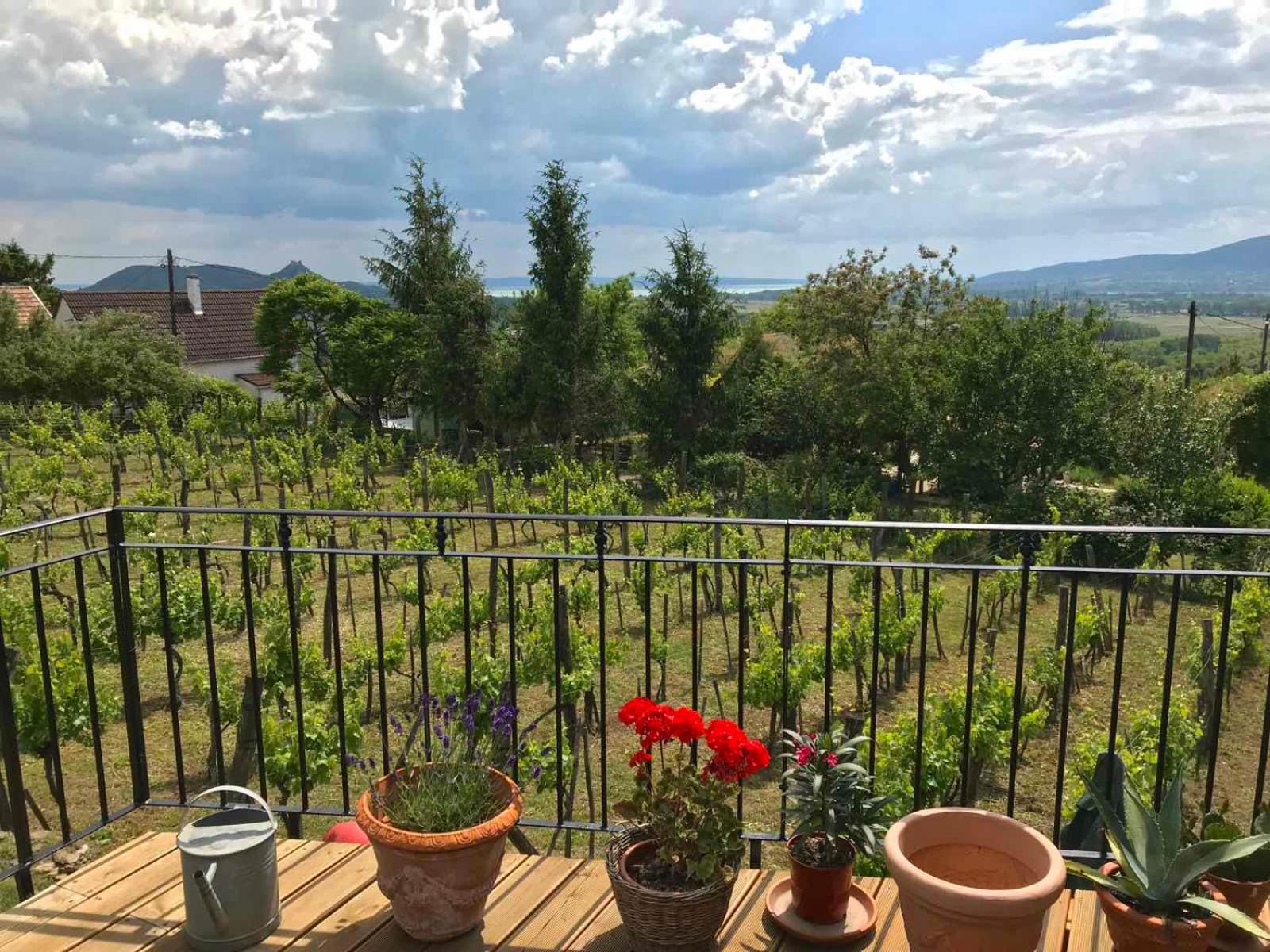 Szívecske Ház - Hegymagas view 3