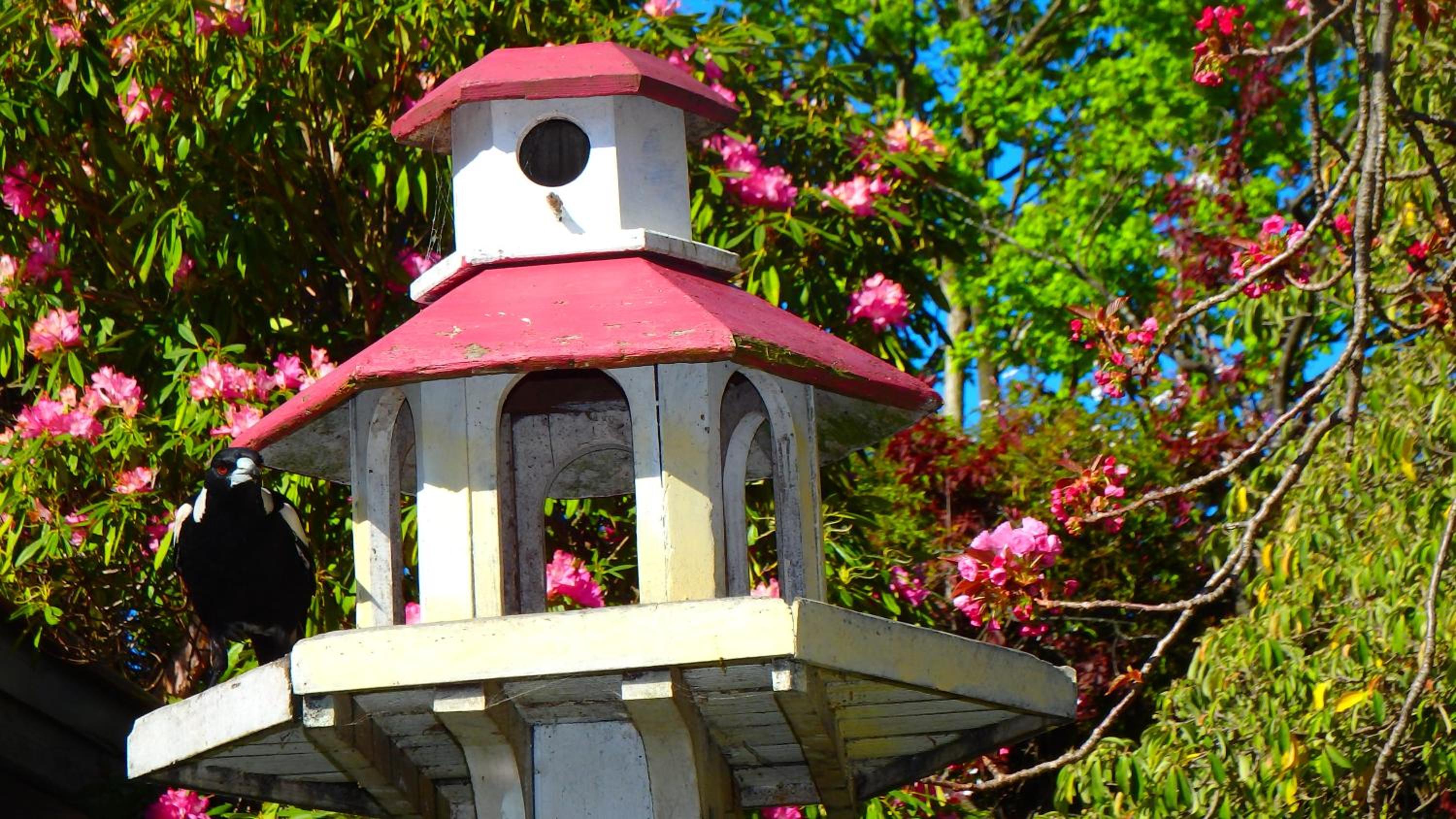 Bowral Road Art Gallery Bed and Breakfast