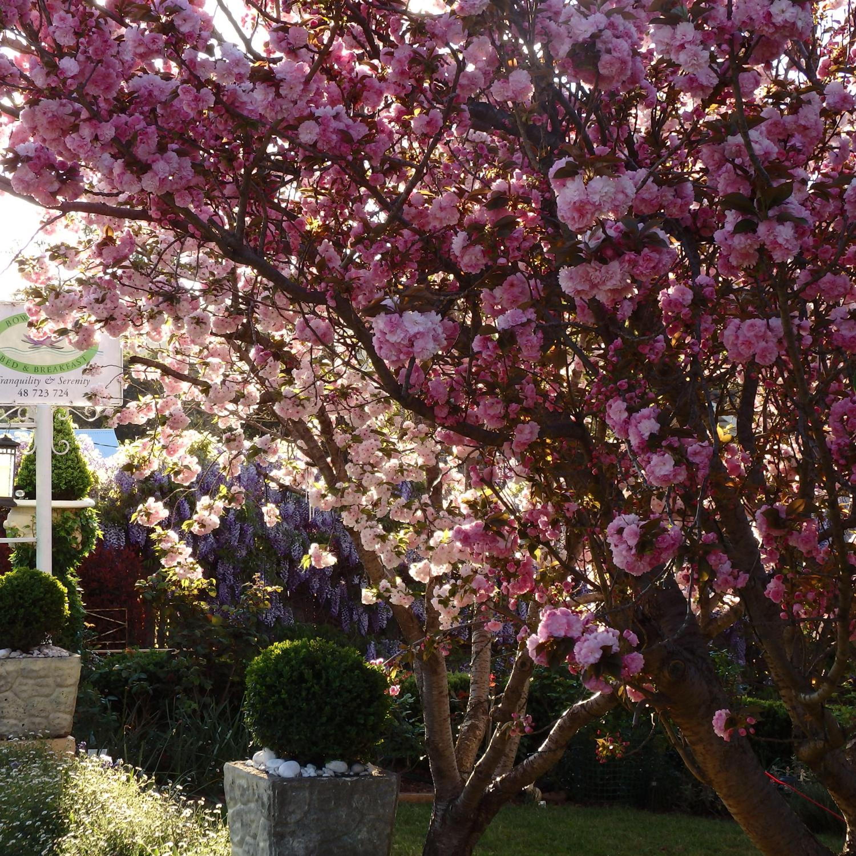 Bowral Road Art Gallery Bed and Breakfast