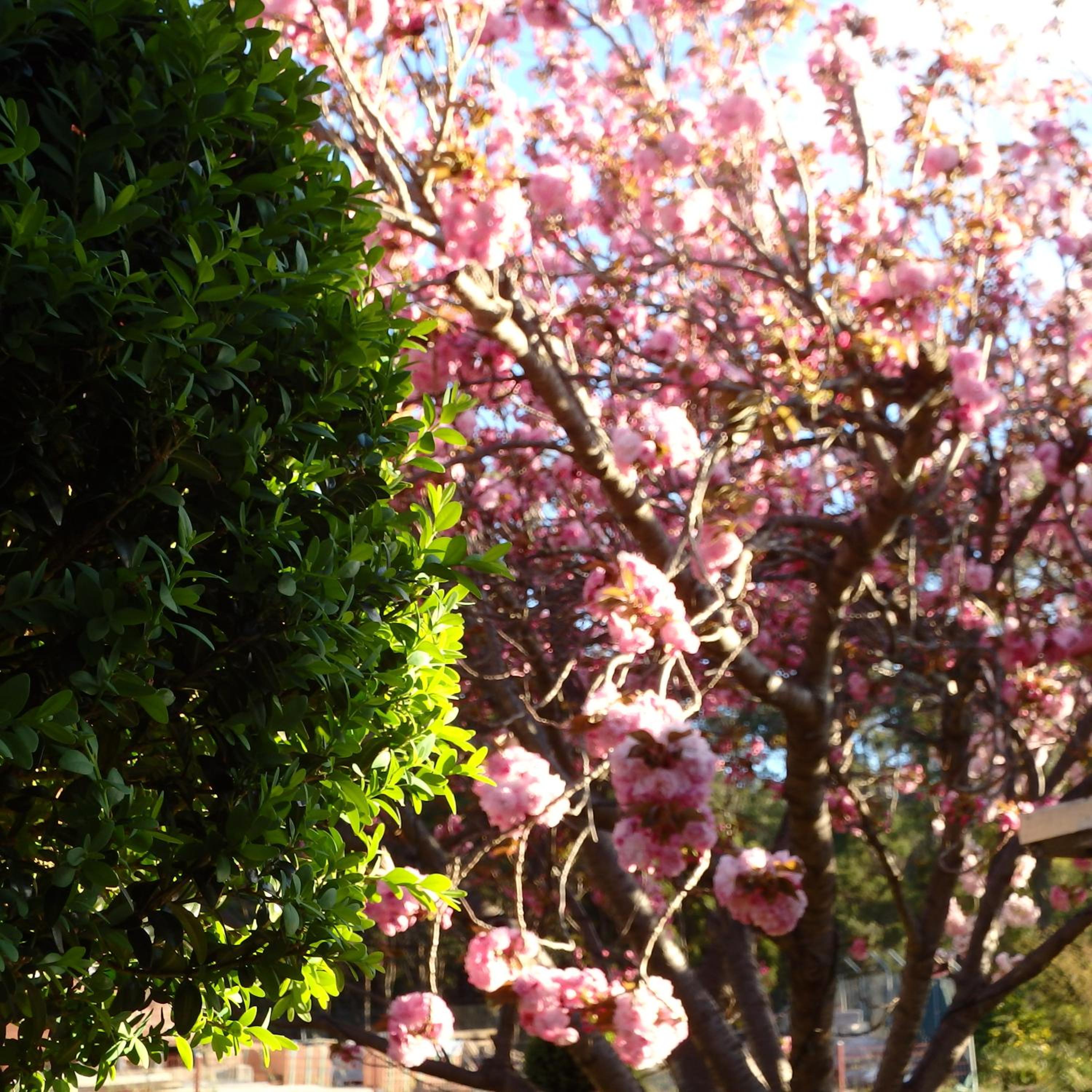 Bowral Road Art Gallery Bed and Breakfast