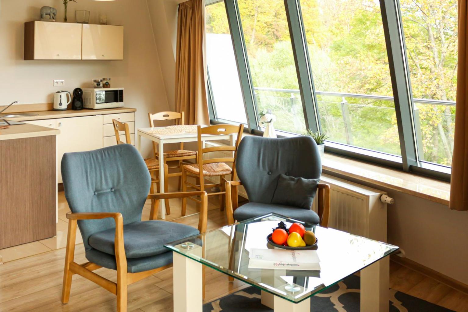VisitZakopane - Cristal Apartment view 2