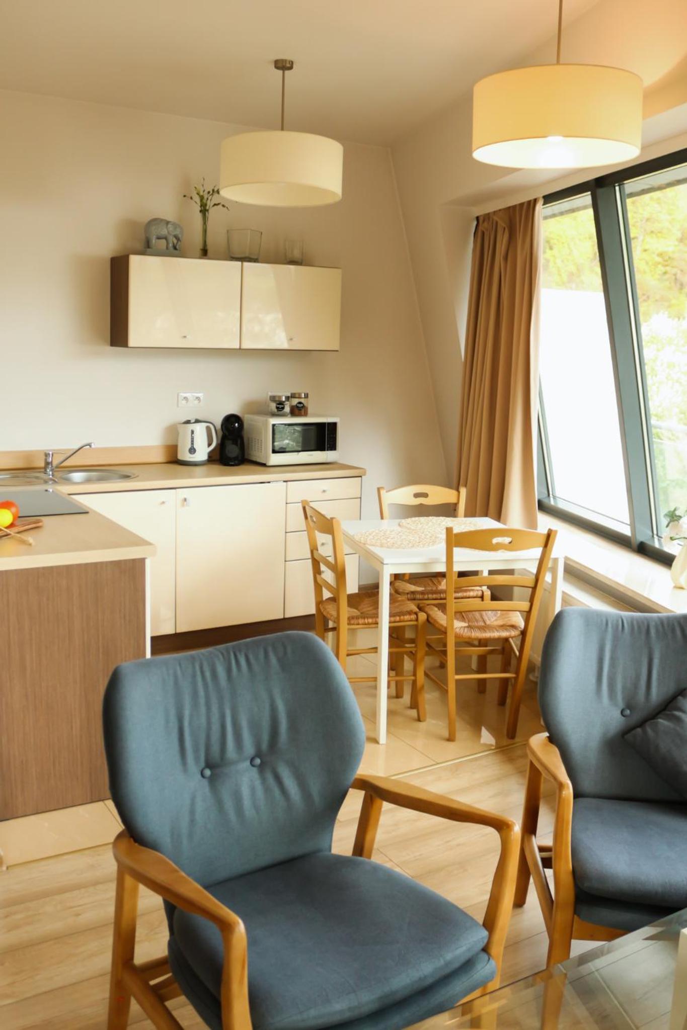 VisitZakopane - Cristal Apartment view 5