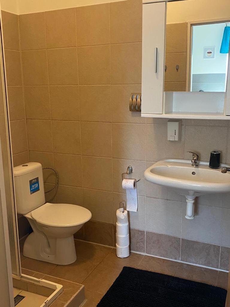 apartman-Rača view 5