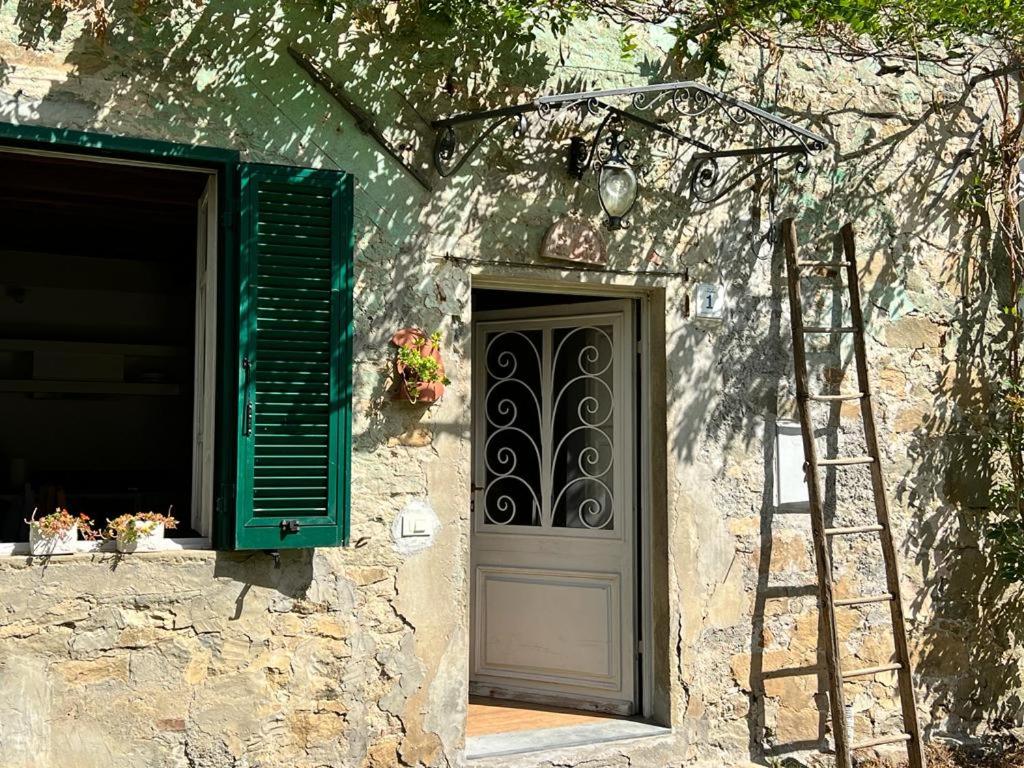 La Casina del Bassotto view 4
