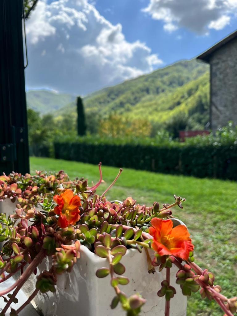 La Casina del Bassotto view 2