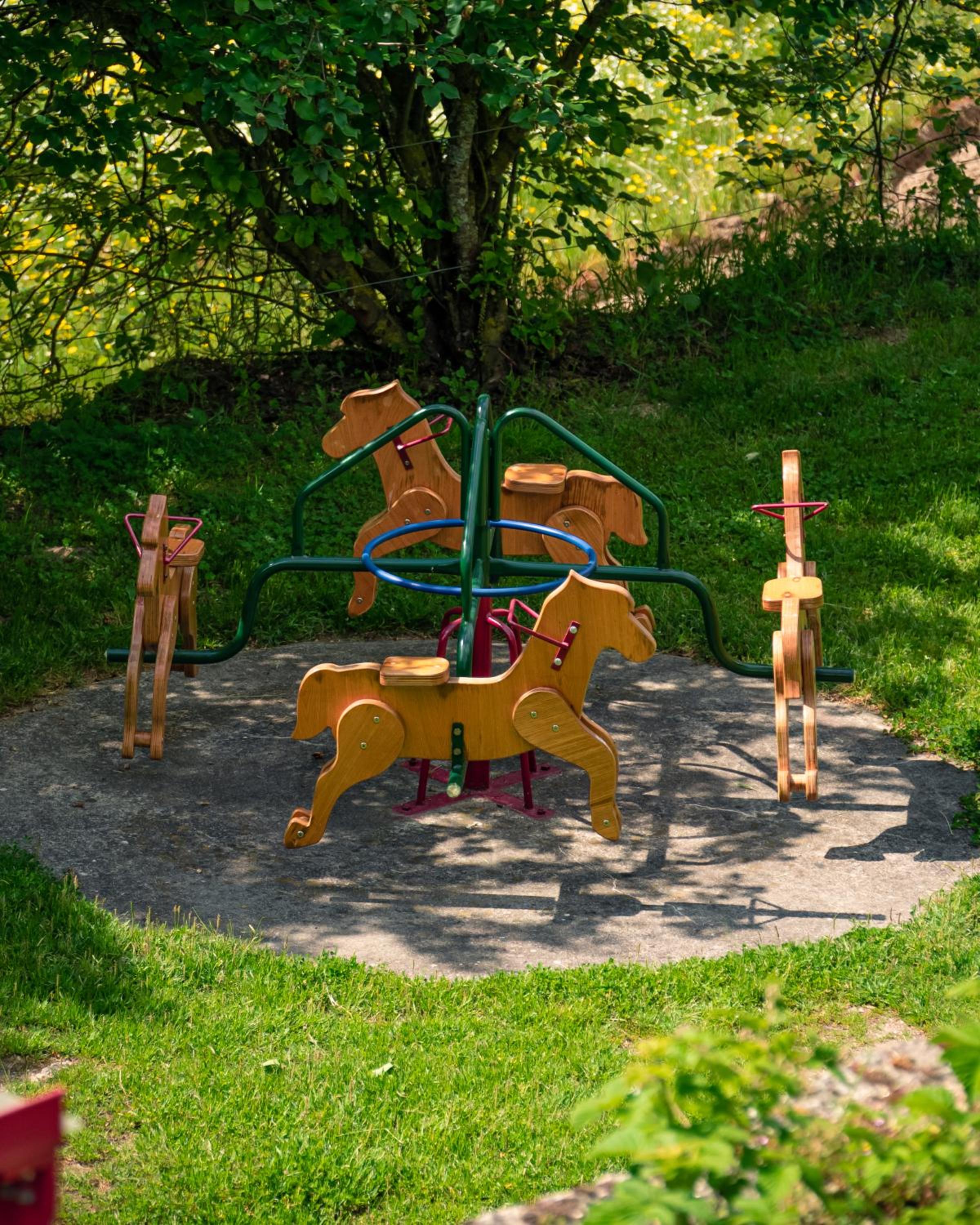 Photo 42