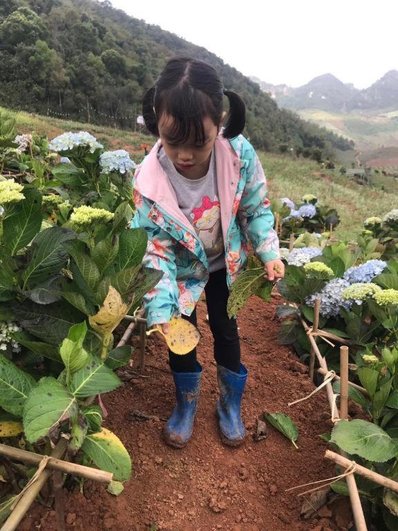 Mường sang farmstay