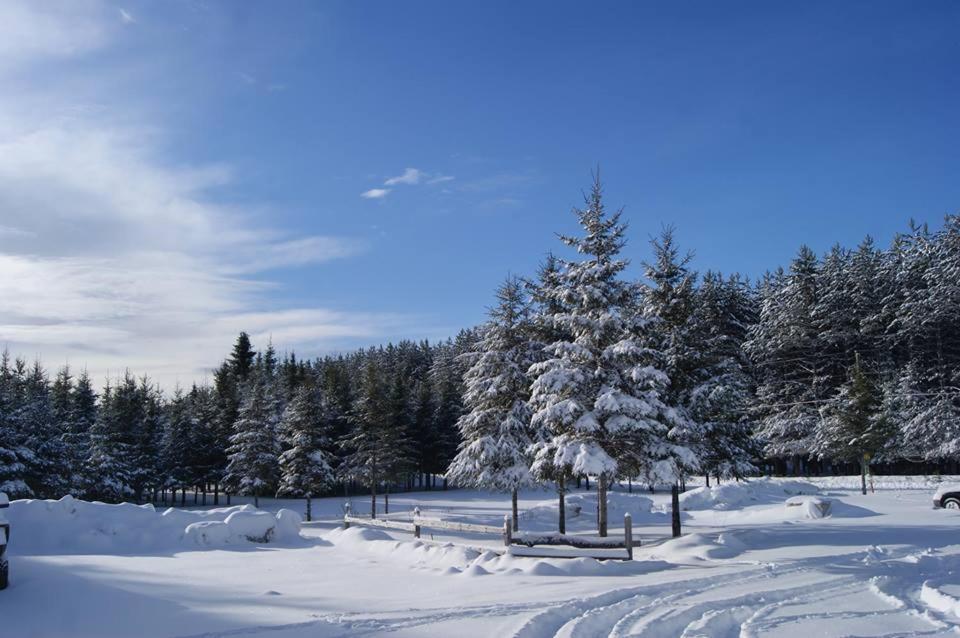 Bed and Breakfast Du Repos