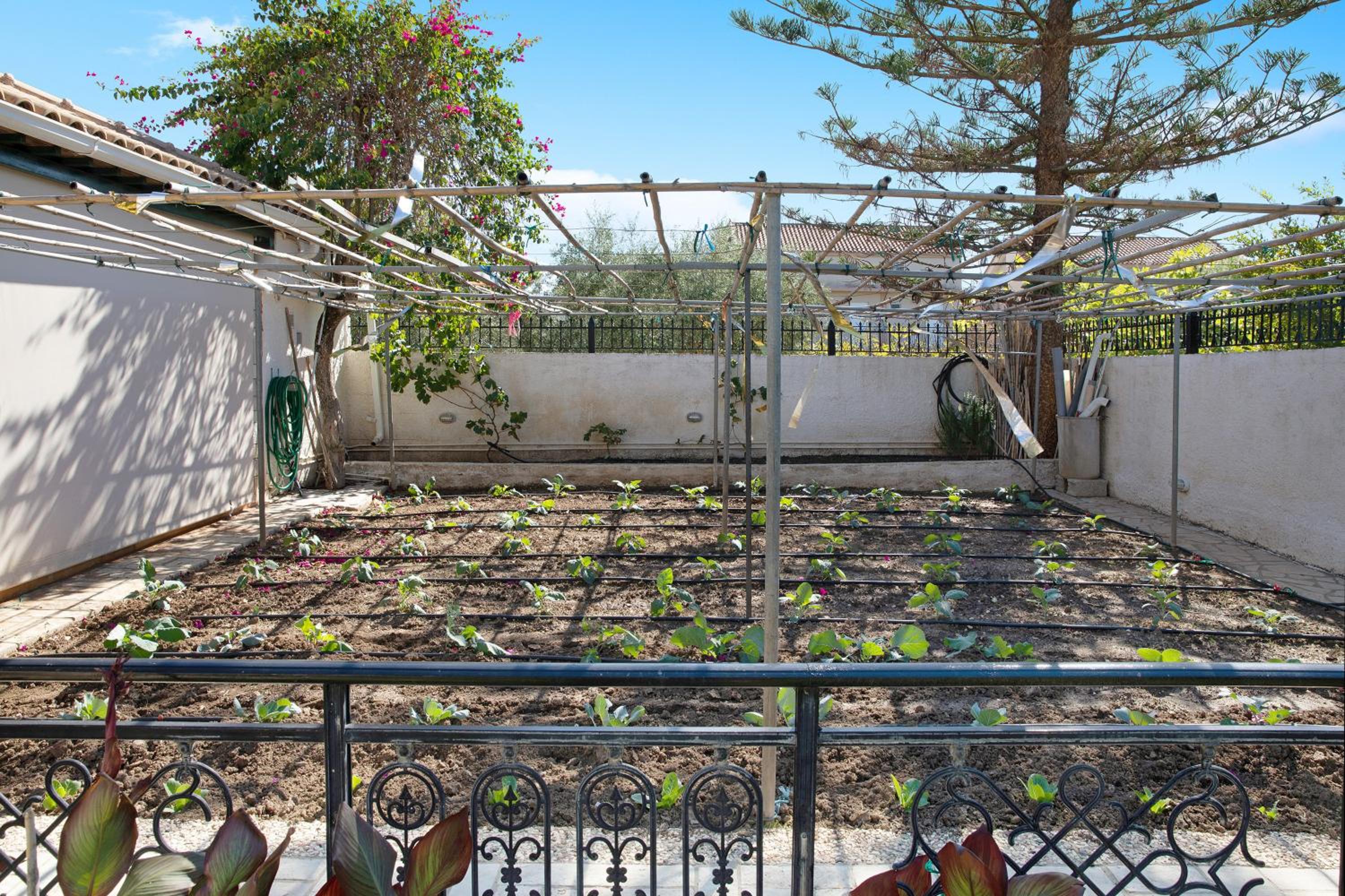 Olympia Holiday Home