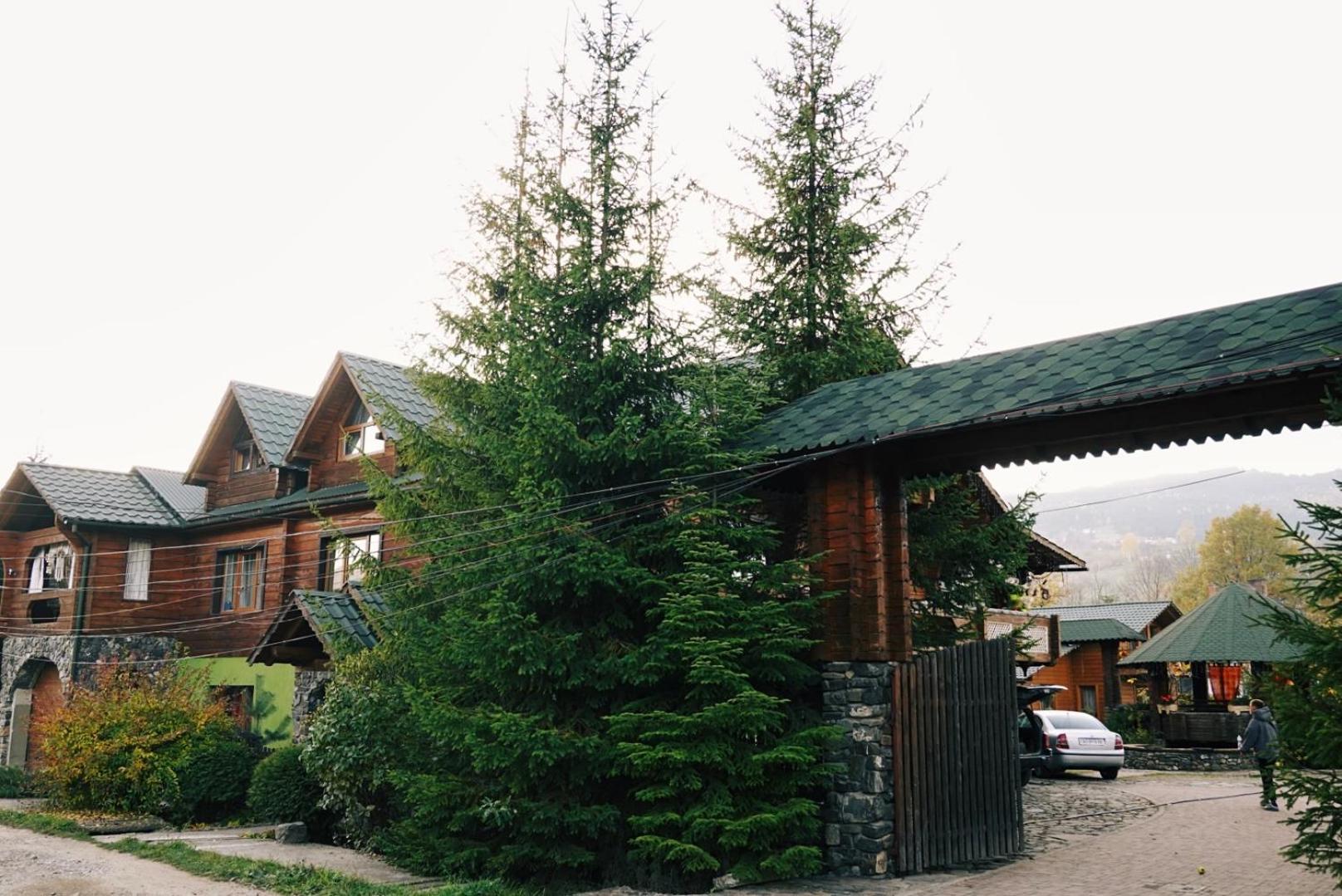 Forest House, photo 56