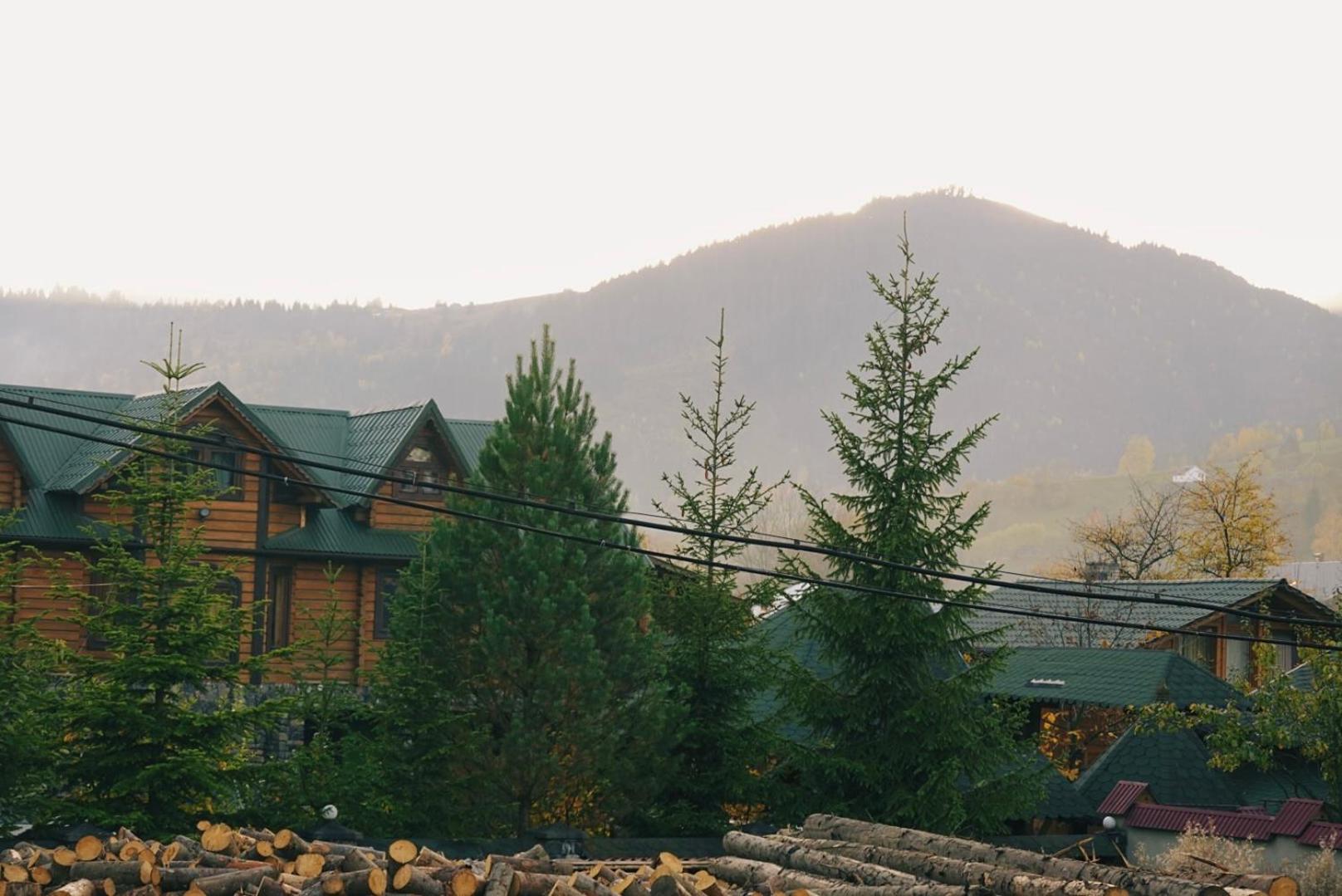 Forest House, photo 25