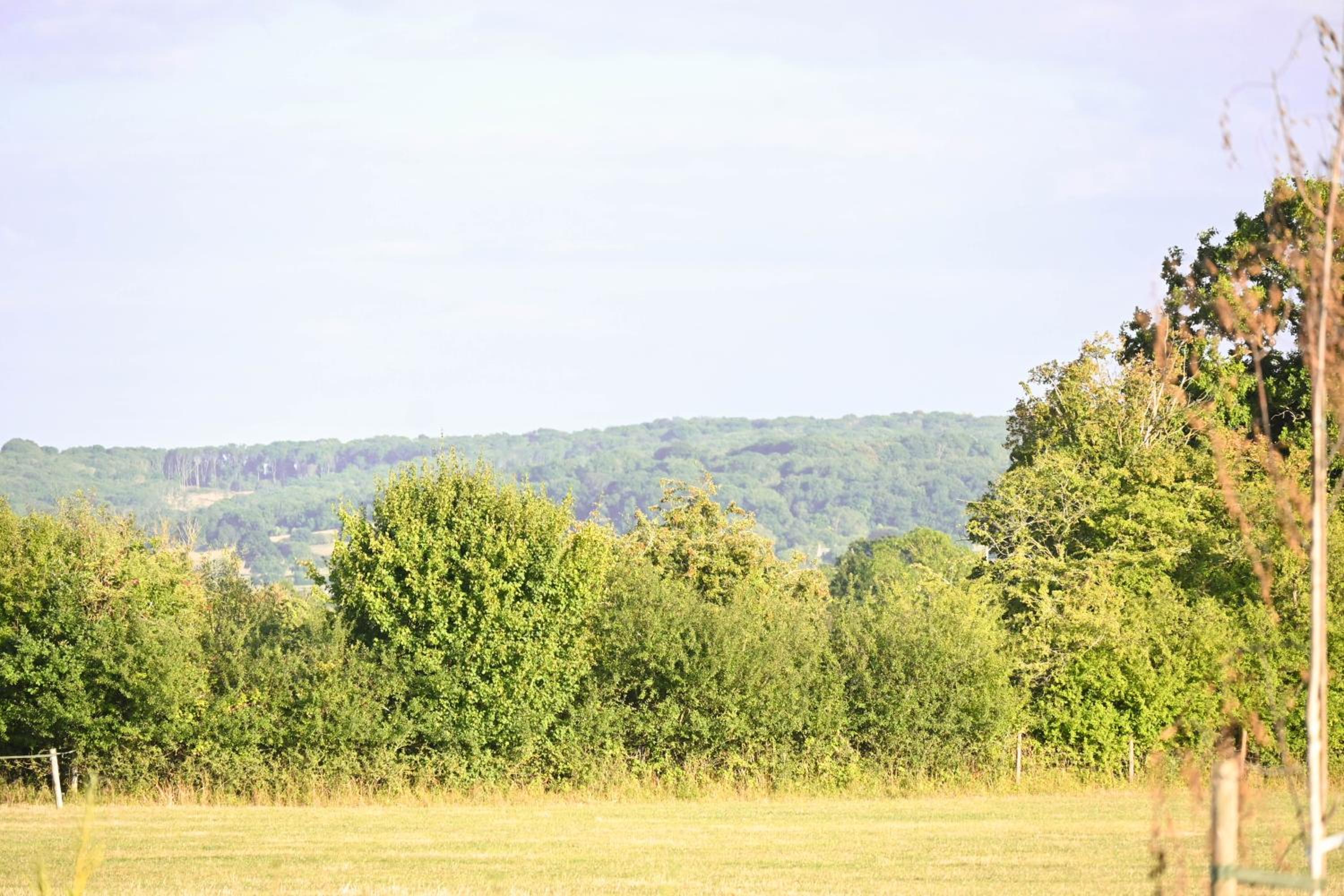 Bluebell Cabin view 2
