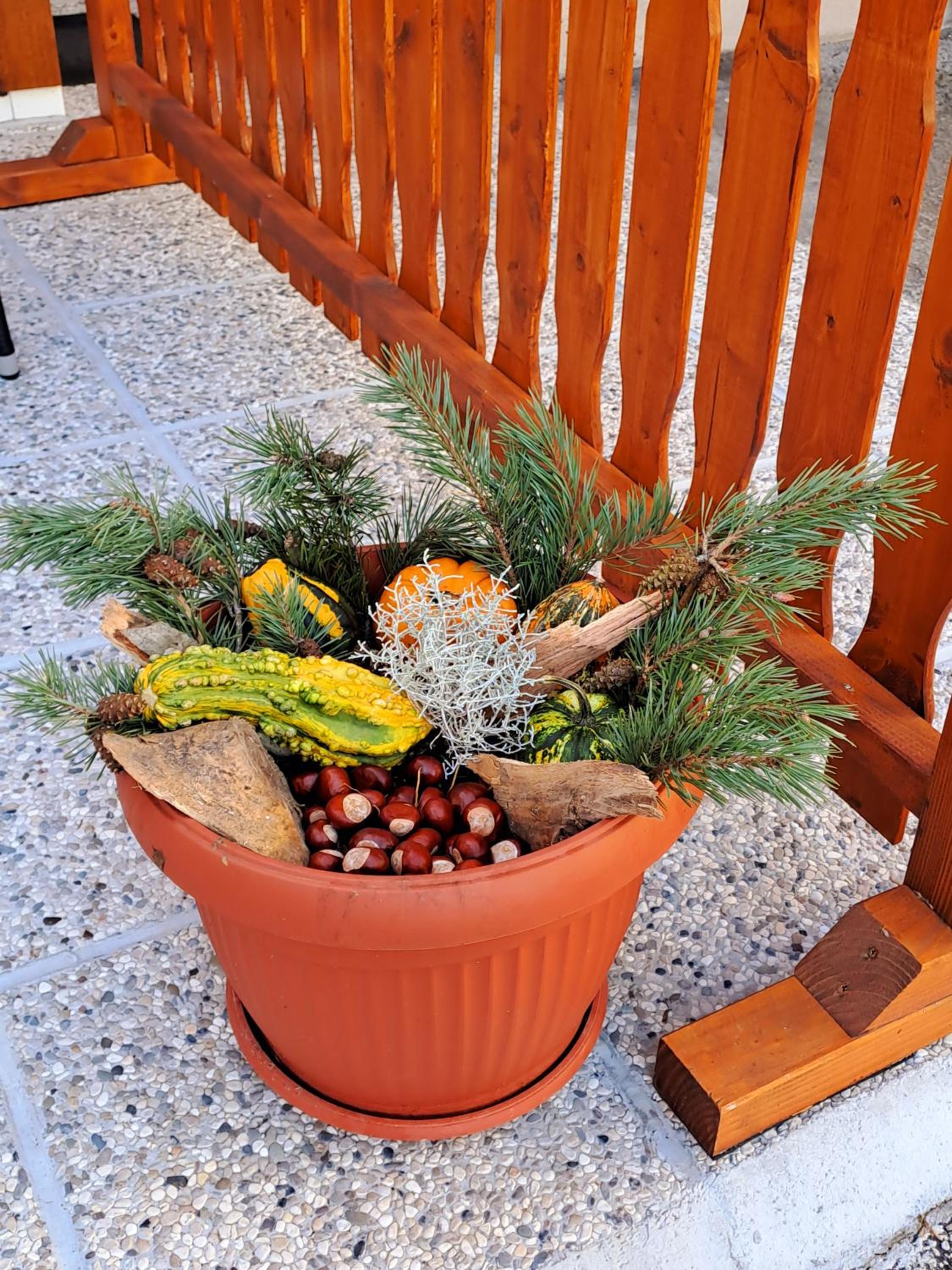 Photo 28
