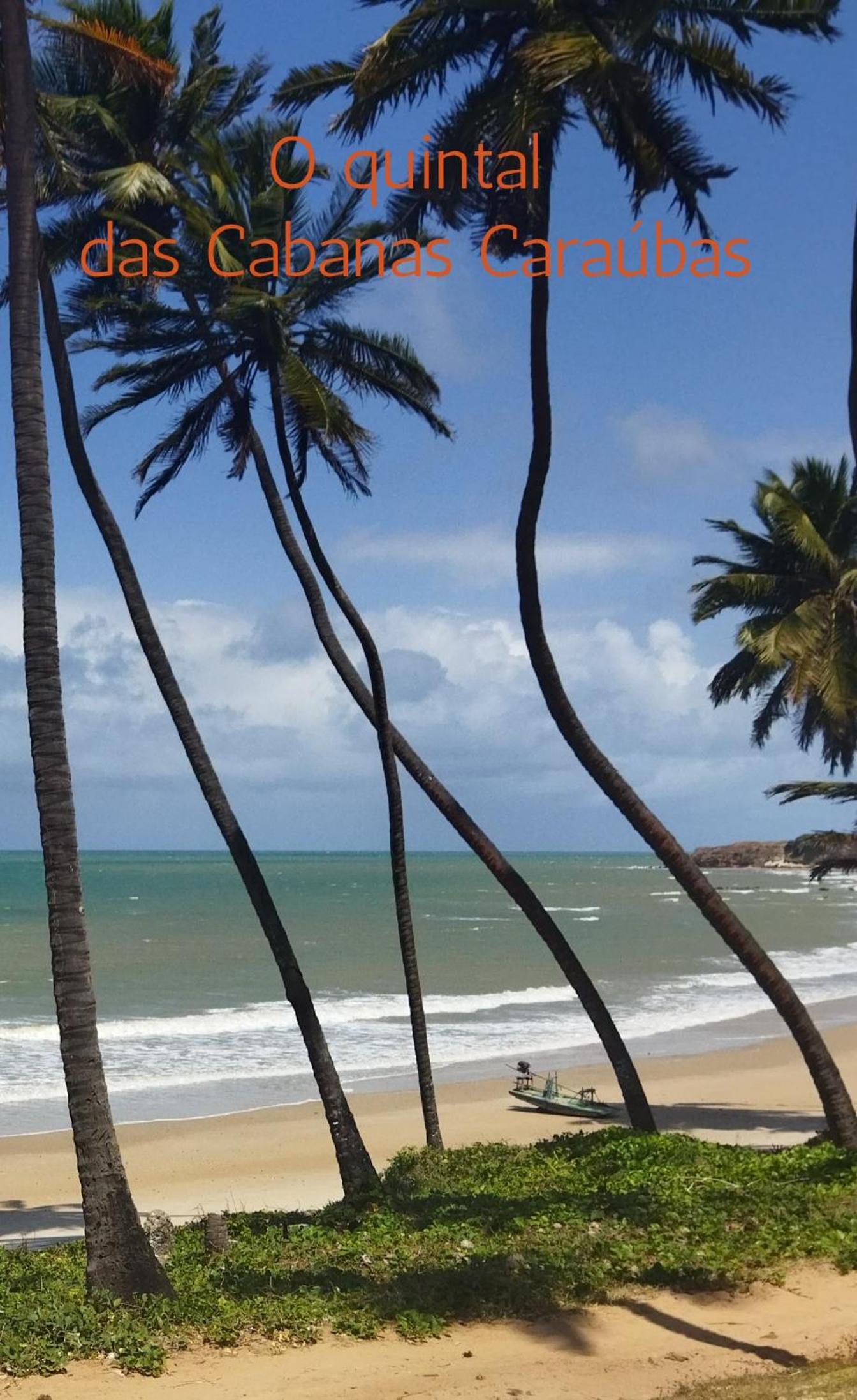 Cabanas Caraúbas - frente para o mar, ar & Tv