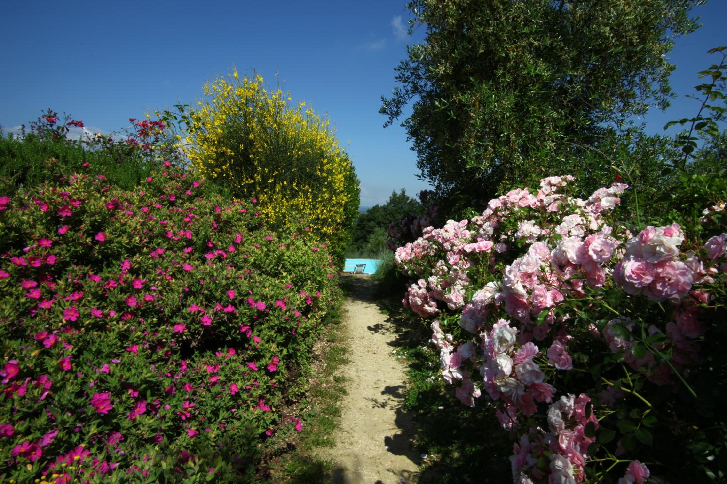 Photo 46