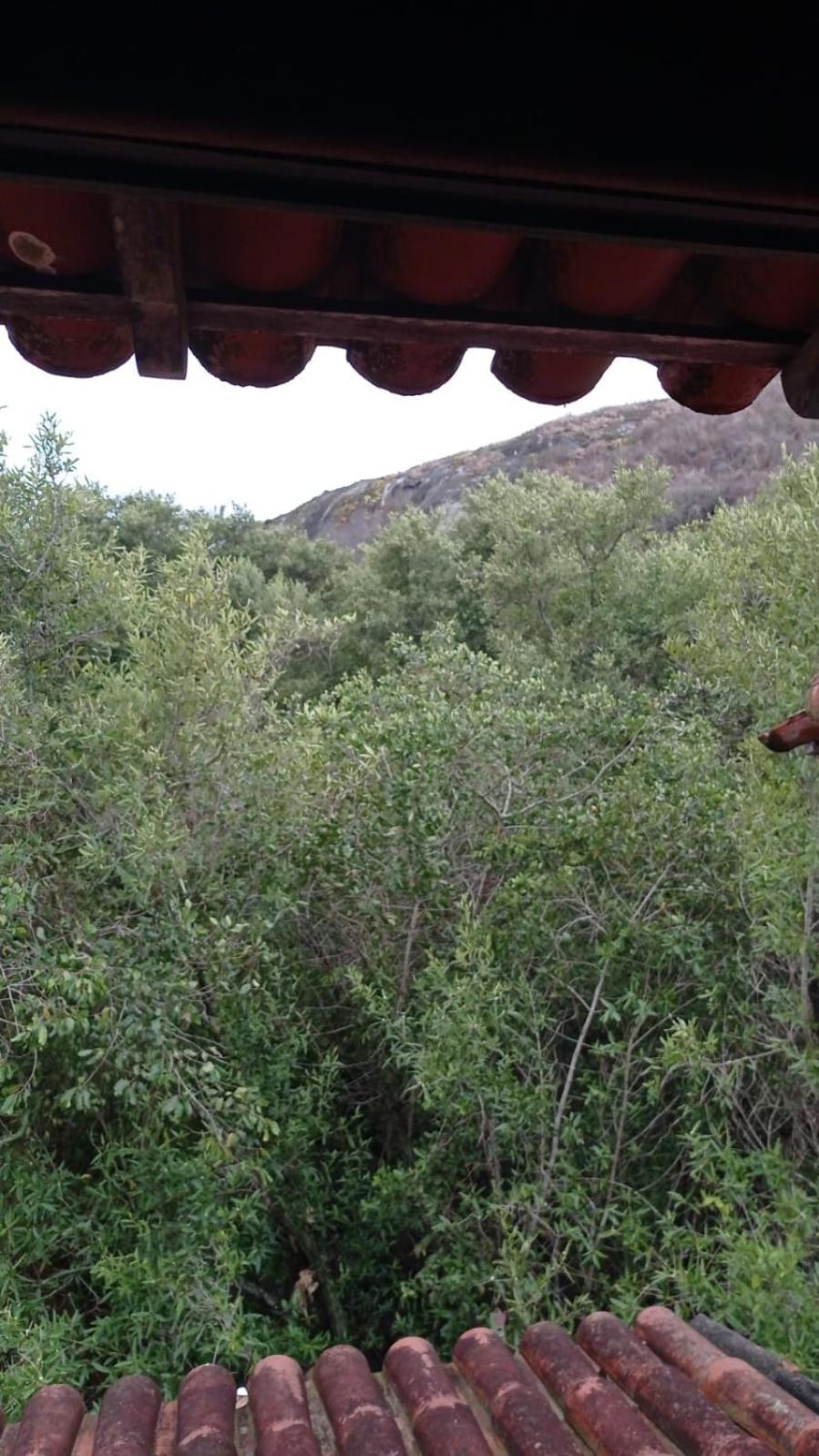 Suite da Fernanda view 3